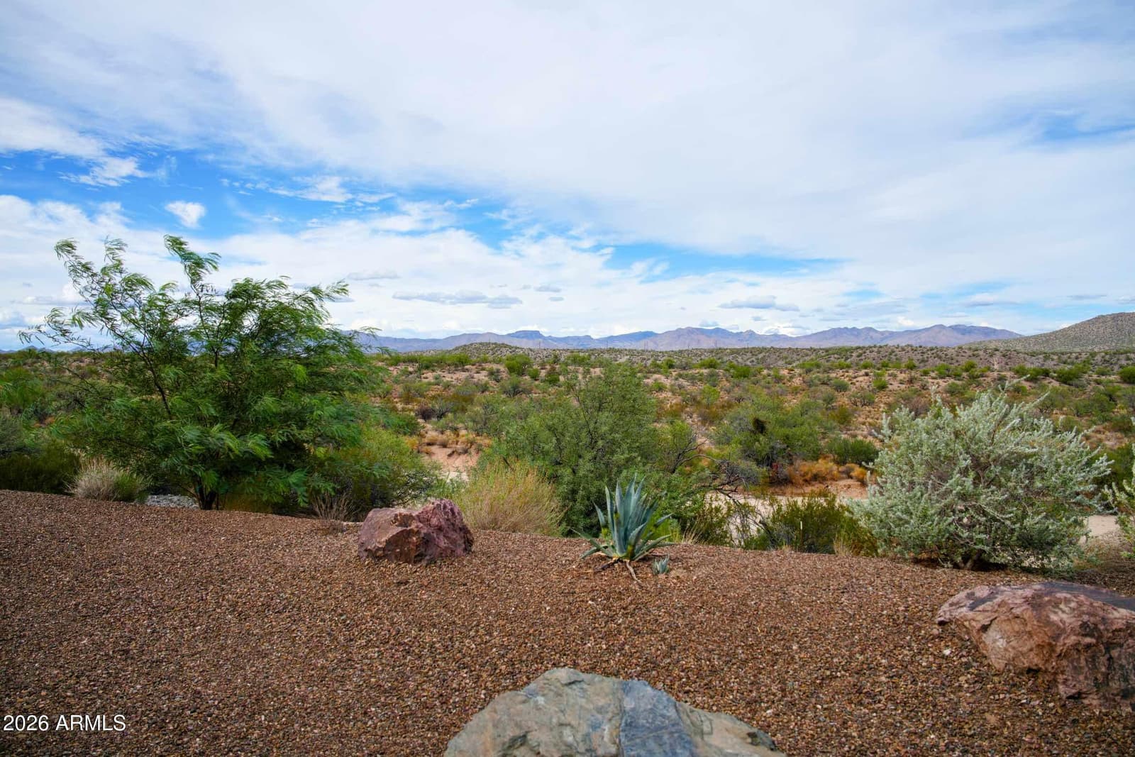 3194 Buckaroo Court, Wickenburg, AZ 85390 — photo 44 of 59