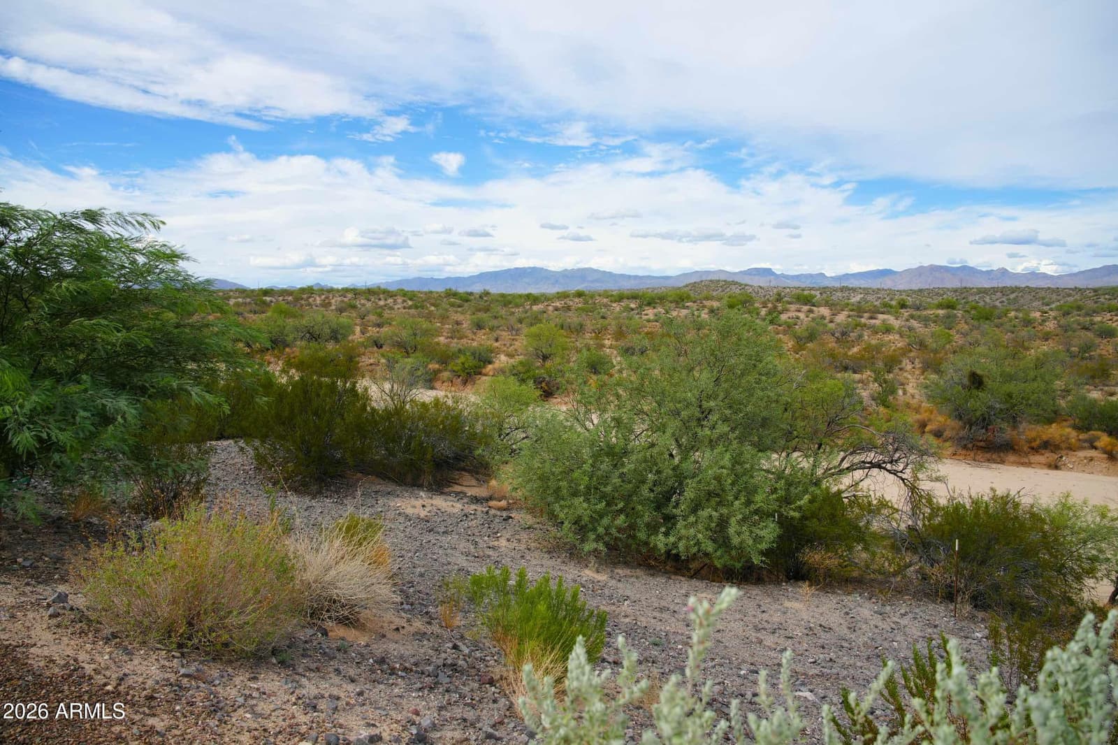 3194 Buckaroo Court, Wickenburg, AZ 85390 — photo 45 of 59