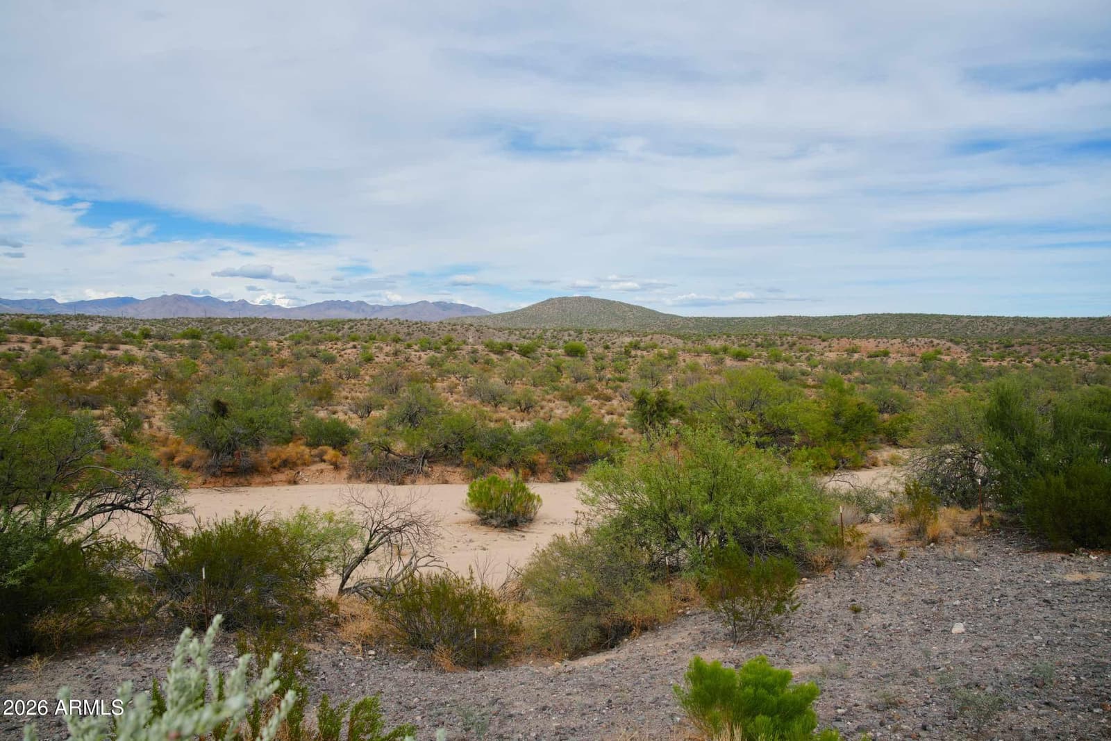 3194 Buckaroo Court, Wickenburg, AZ 85390 — photo 46 of 59