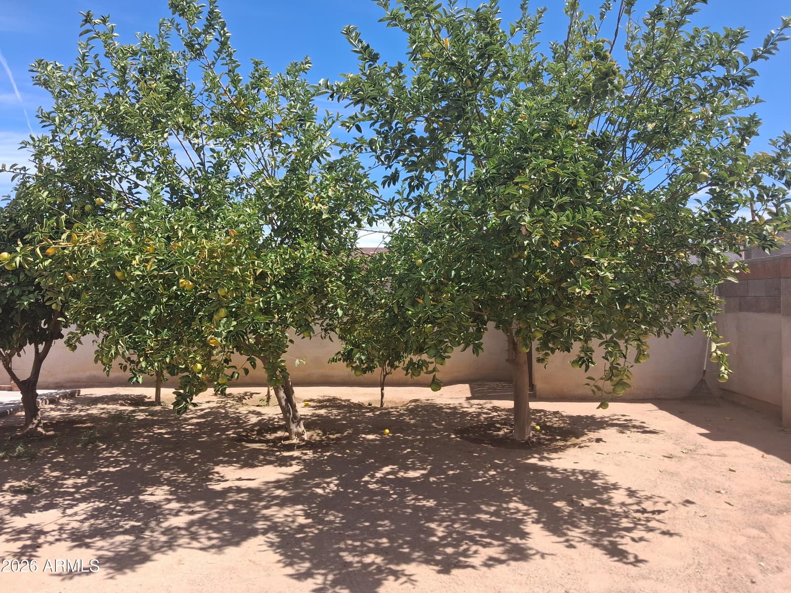 8039 S 25th Street, Phoenix, AZ 85042 — photo 10 of 31