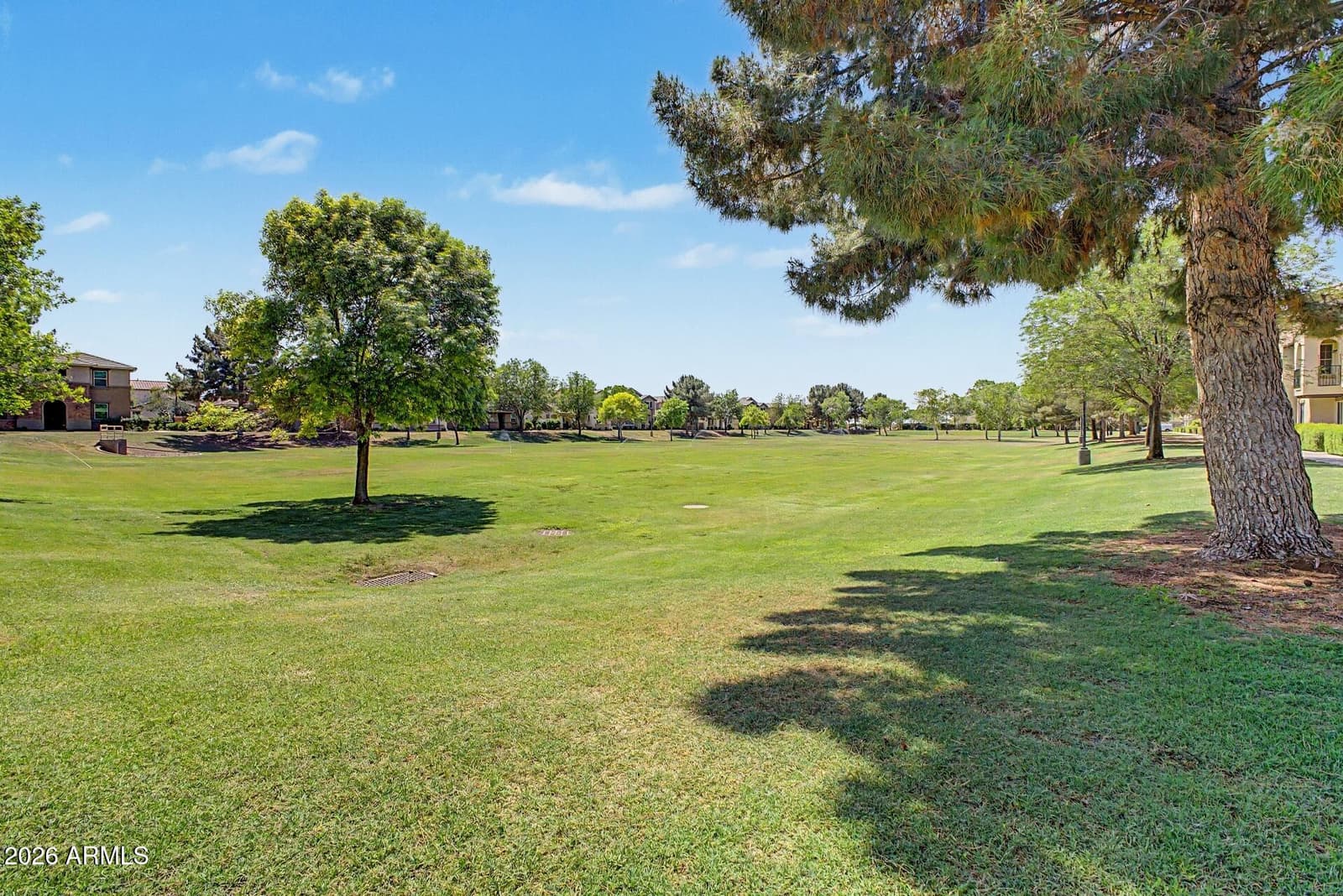 905 S Osborn Lane, Gilbert, AZ 85296 — photo 53 of 62