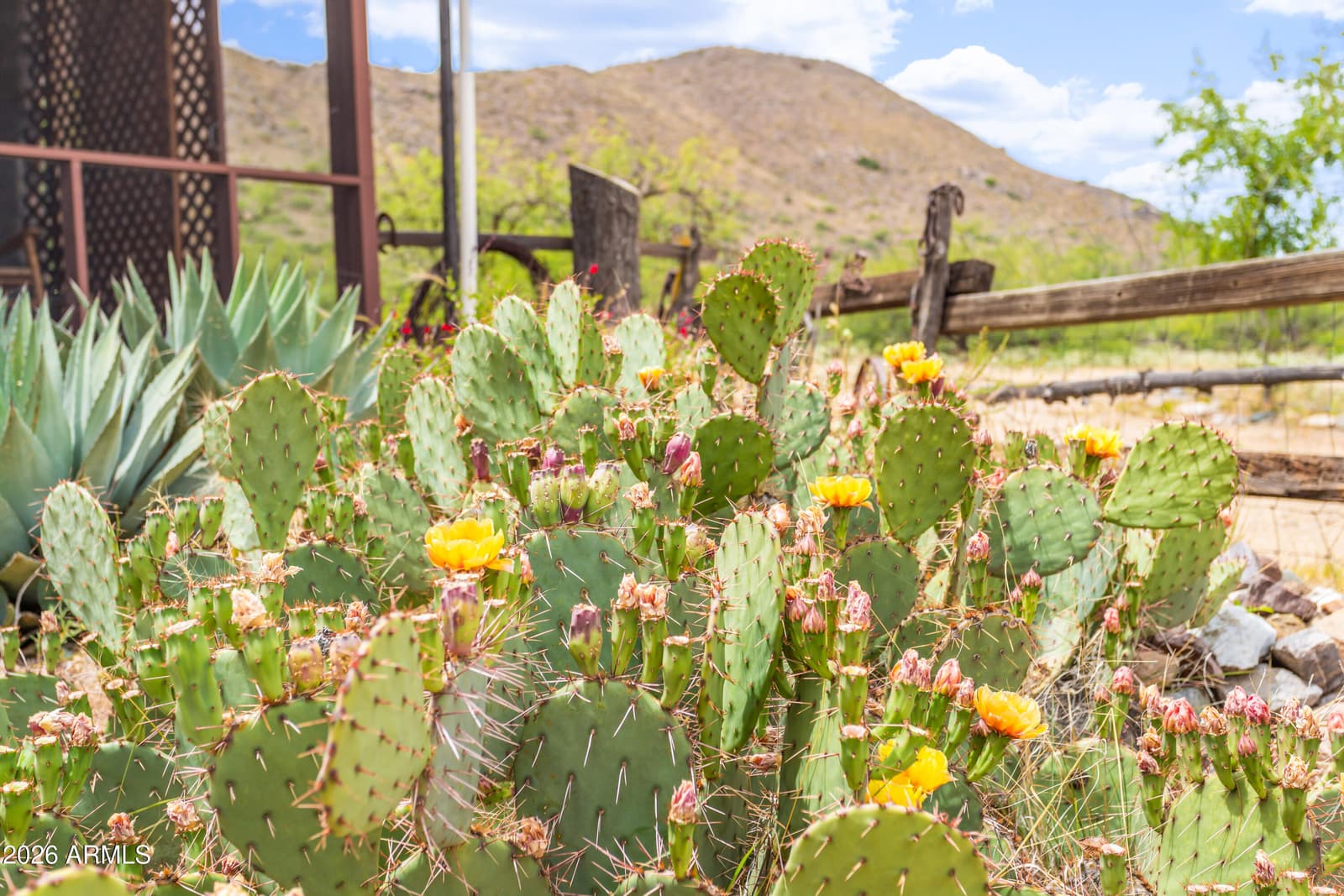 7101 E White Pacheco Street, Willcox, AZ 85643 — photo 46 of 107