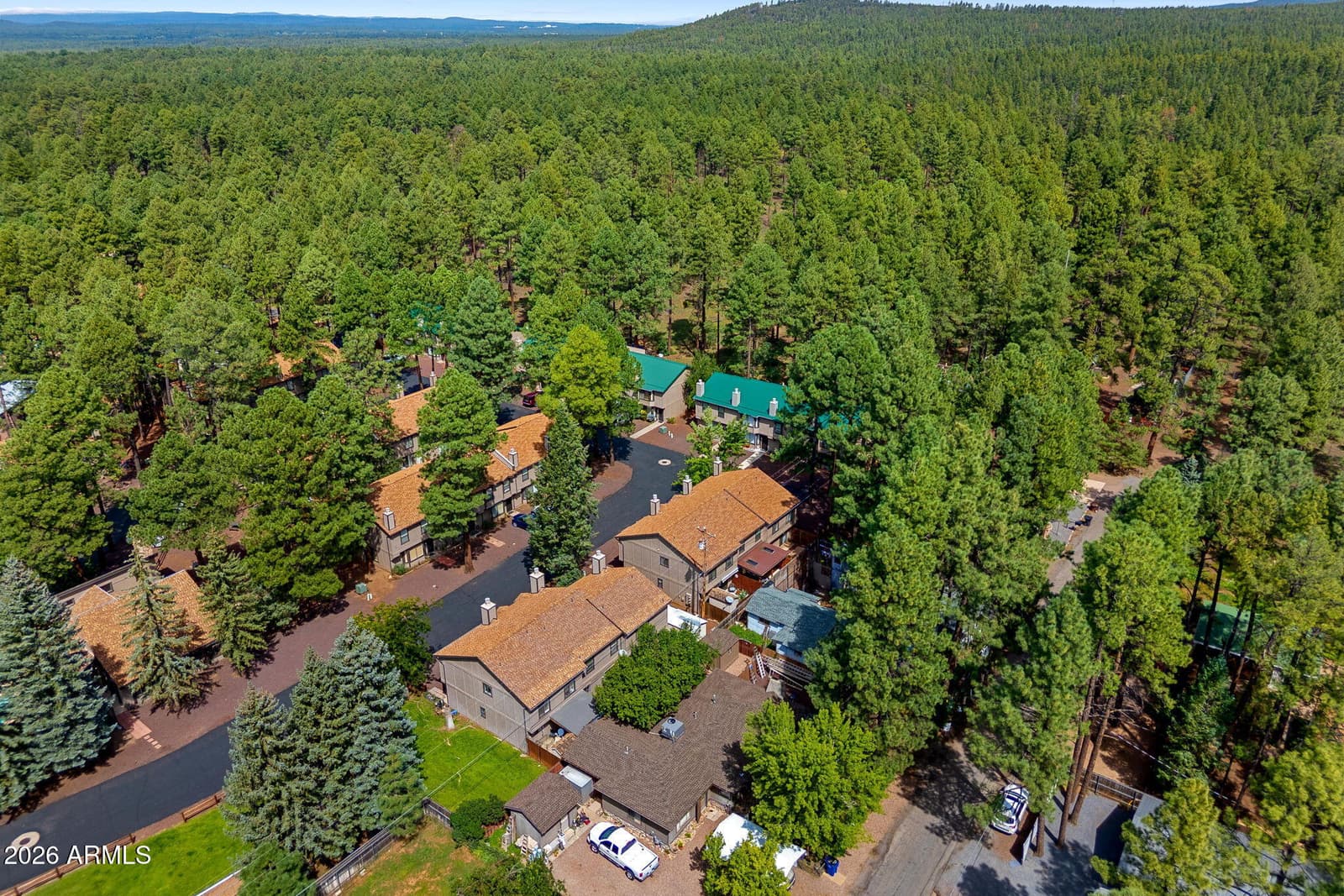 1460 S Adair Drive 17, Pinetop, AZ 85935 — photo 29 of 57