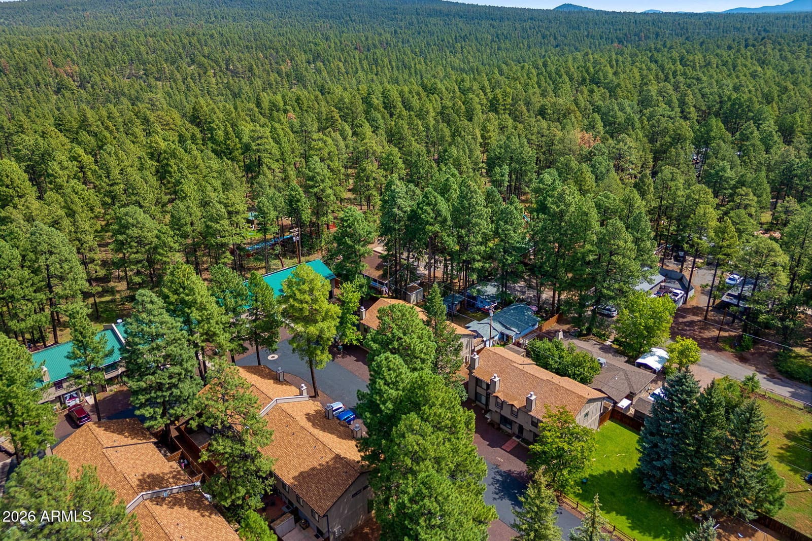 1460 S Adair Drive 17, Pinetop, AZ 85935 — photo 30 of 57