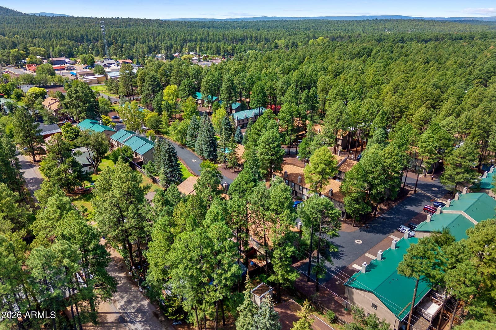 1460 S Adair Drive 17, Pinetop, AZ 85935 — photo 31 of 57