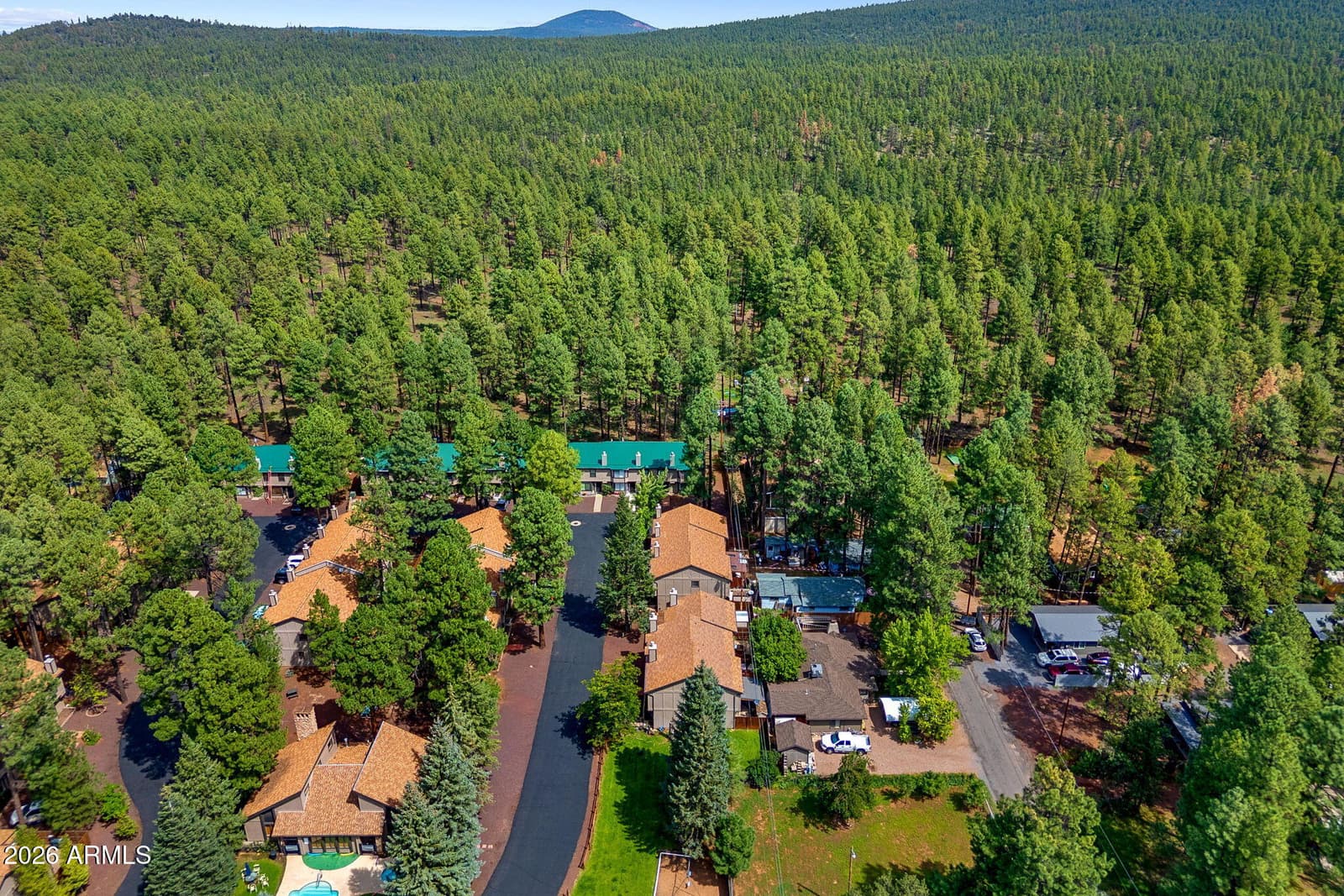 1460 S Adair Drive 17, Pinetop, AZ 85935 — photo 33 of 57
