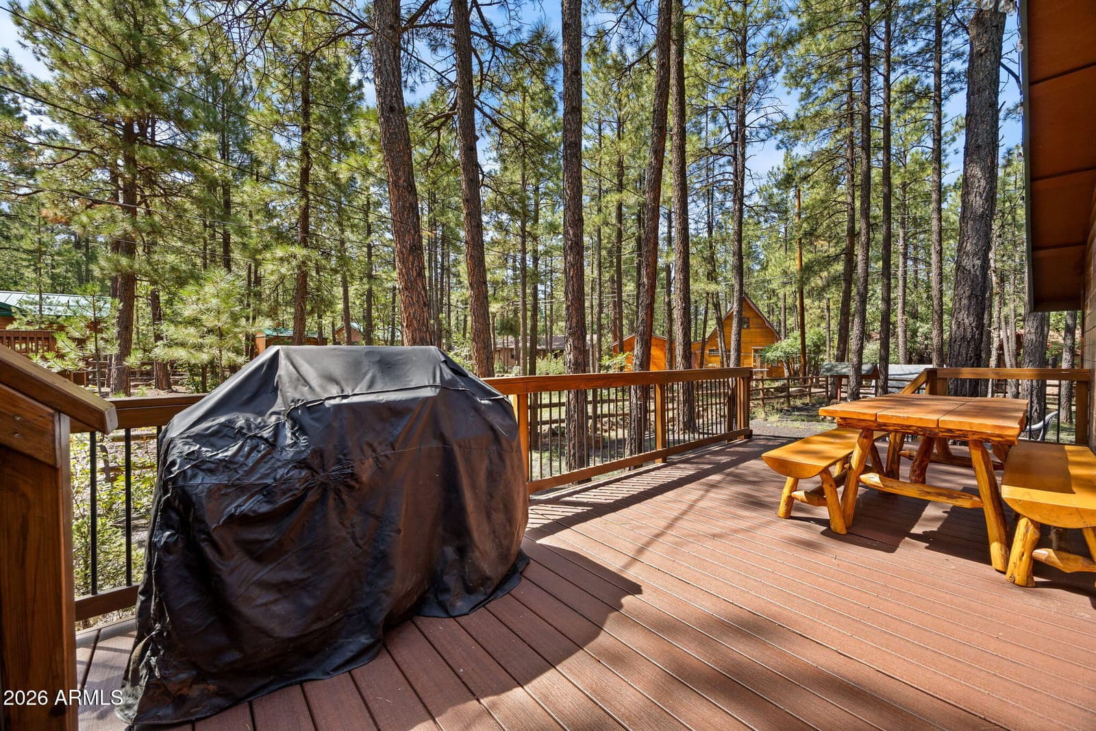 3456 Turkey Track Road, Pinetop, AZ 85935 — photo 28 of 63