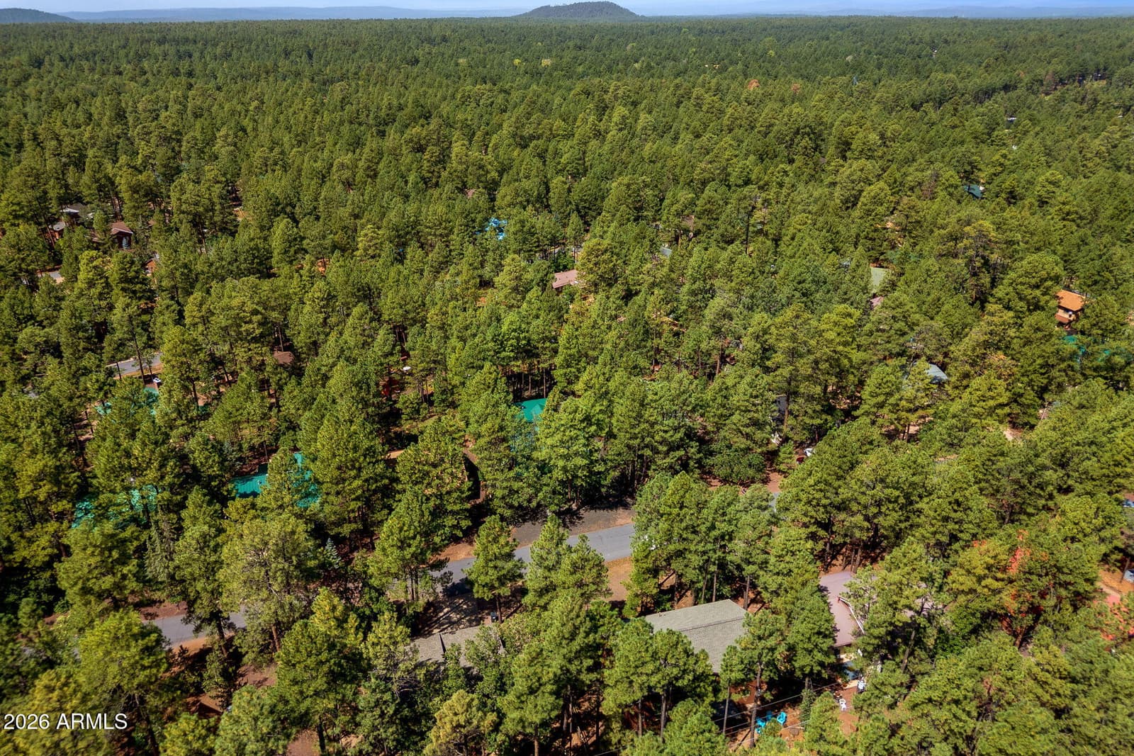3456 Turkey Track Road, Pinetop, AZ 85935 — photo 38 of 63