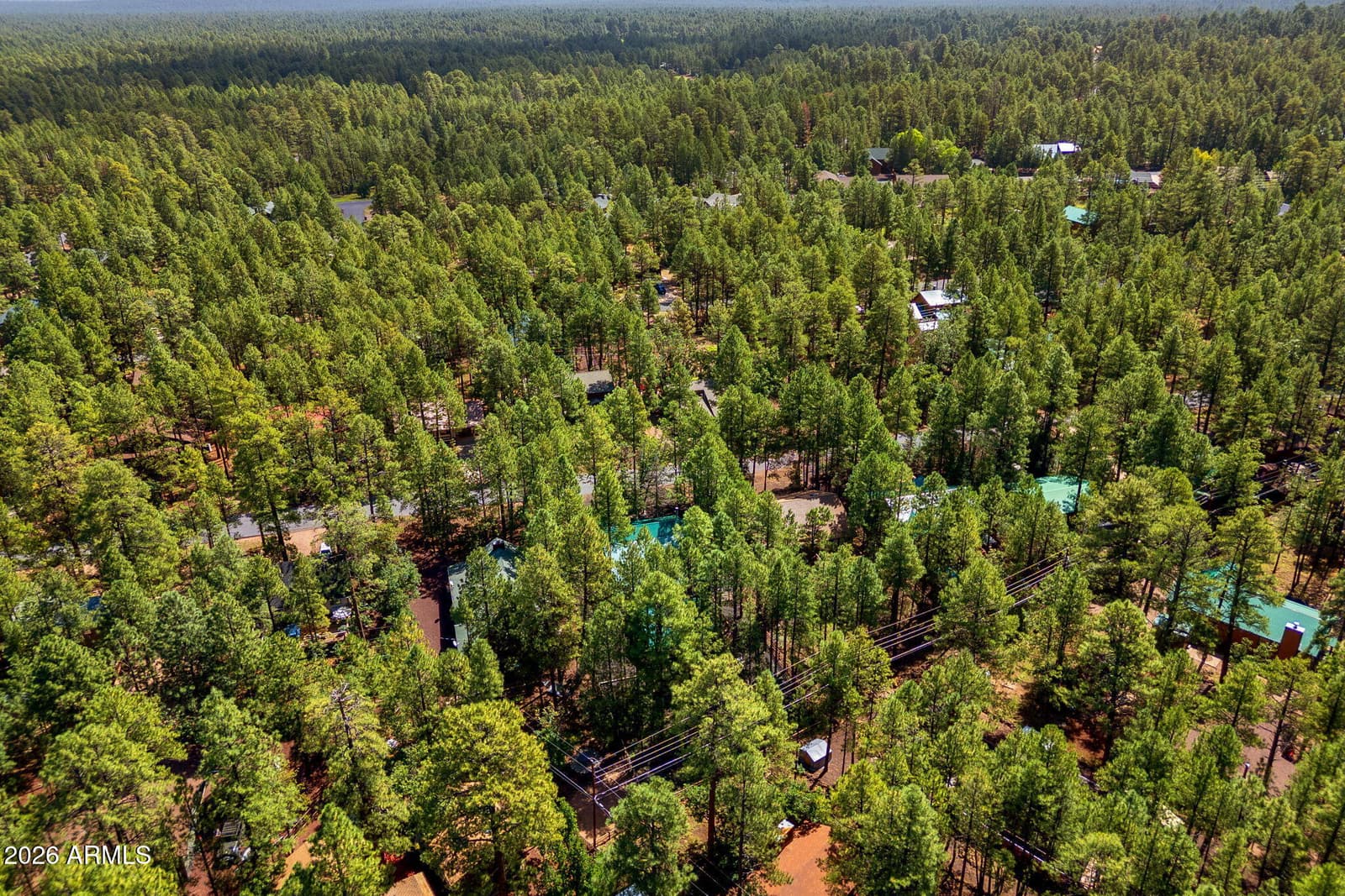 3456 Turkey Track Road, Pinetop, AZ 85935 — photo 39 of 63