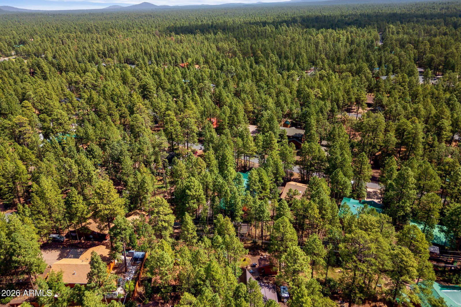 3456 Turkey Track Road, Pinetop, AZ 85935 — photo 40 of 63