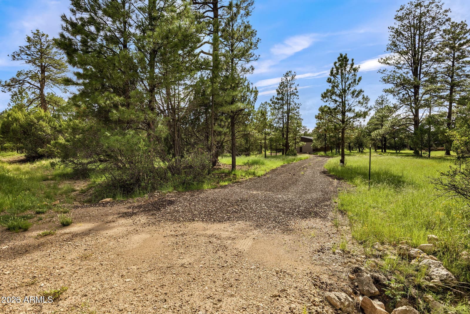 2970 Pine Rim Road, Overgaard, AZ 85933 — photo 24 of 30