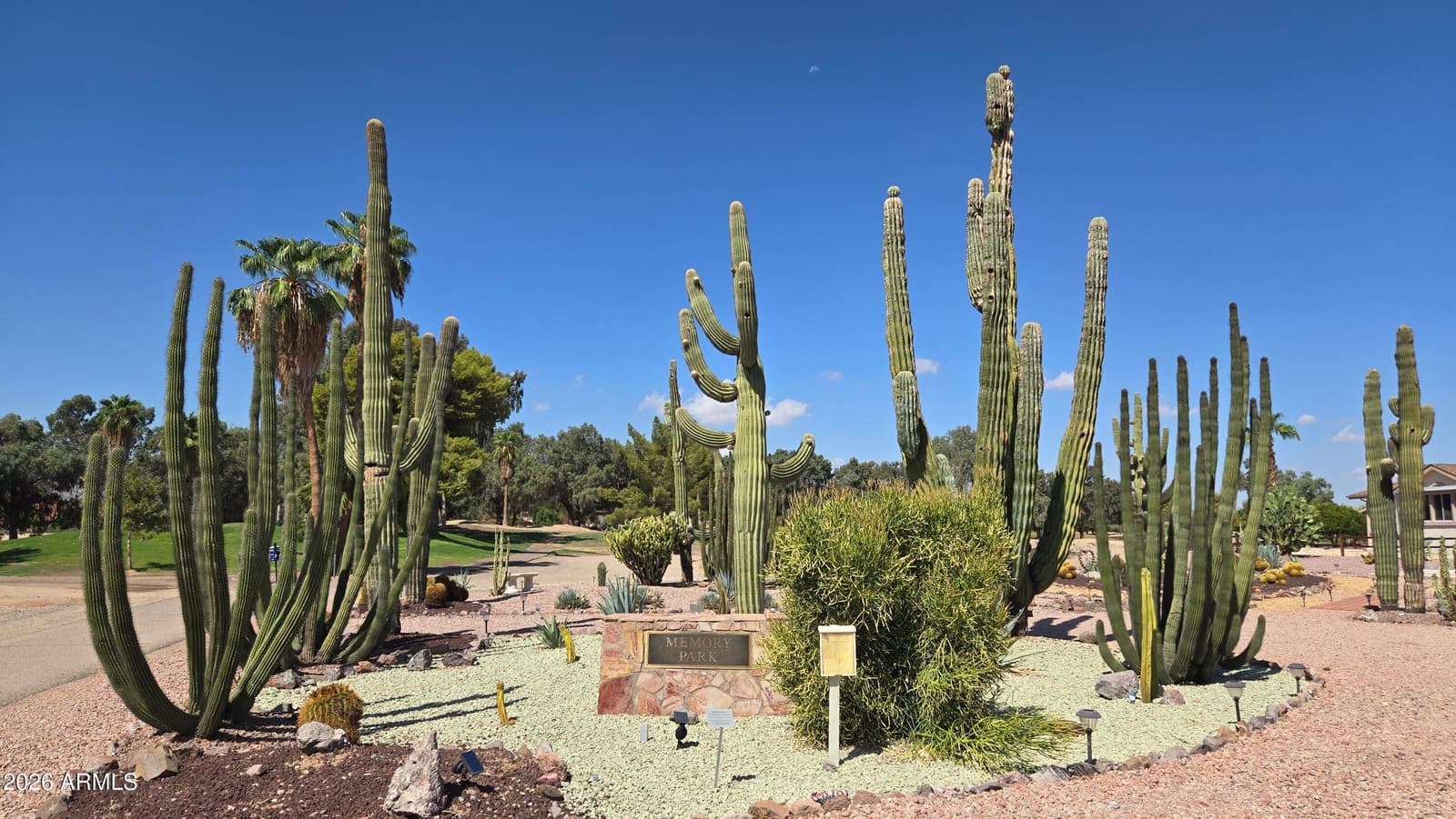 17200 W Bell Road 2117, Surprise, AZ 85374 — photo 25 of 30