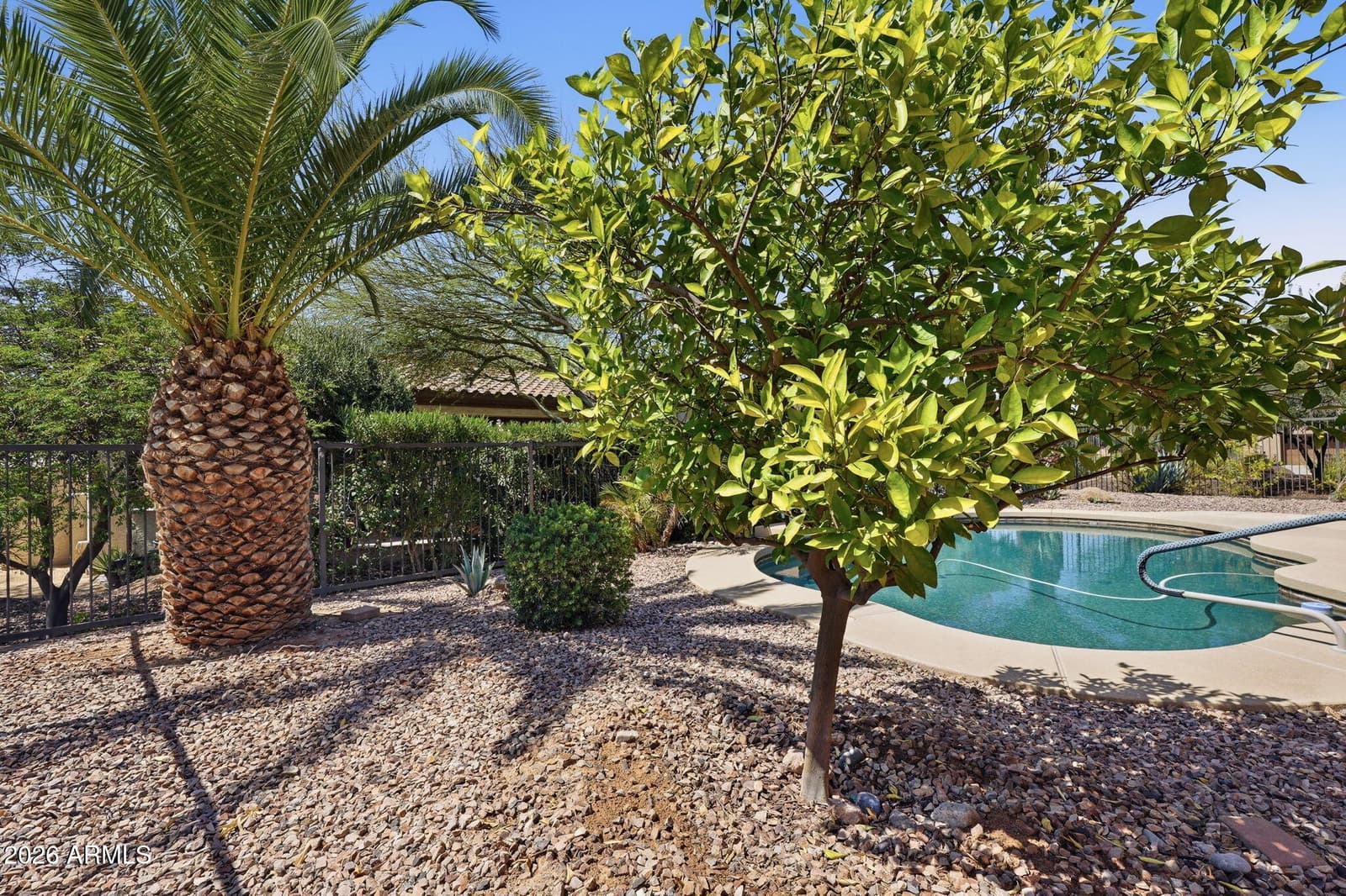 27360 N 128th Lane, Peoria, AZ 85383 — photo 42 of 43