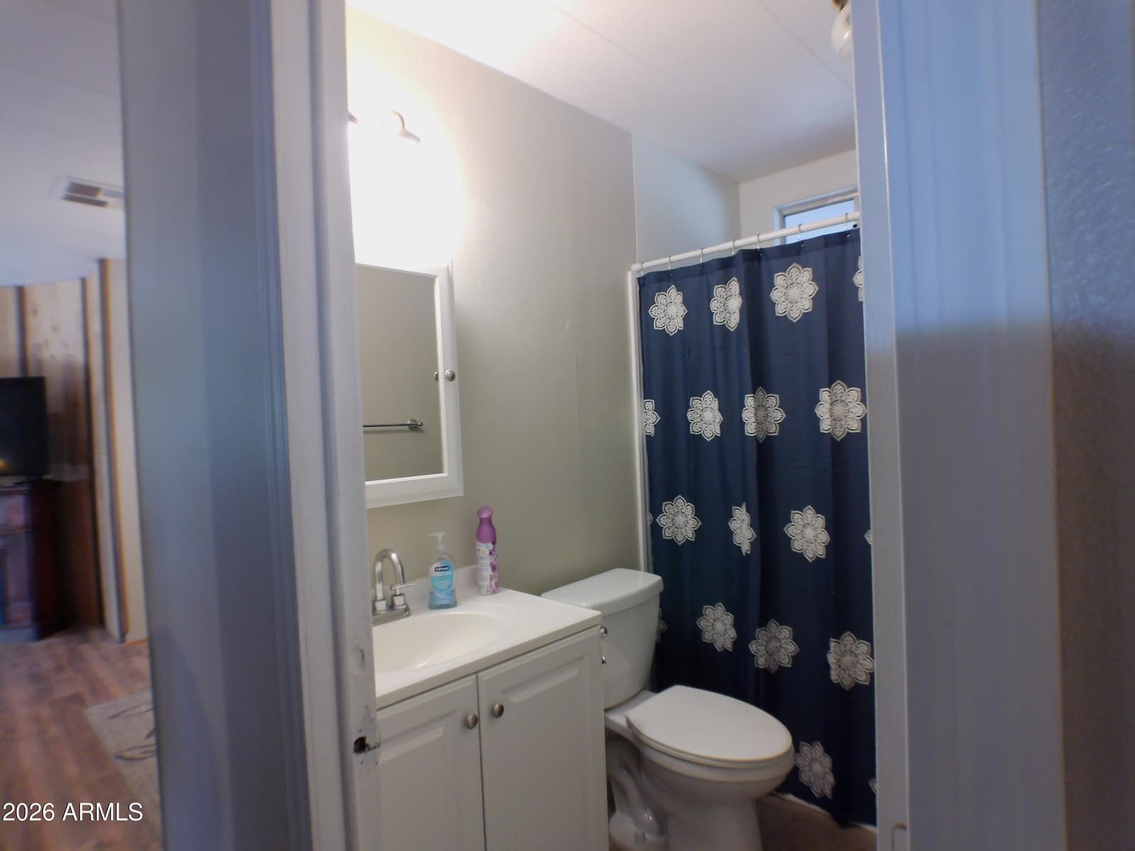 301 S Rio Vista Drive, Queen Valley, AZ 85118 — photo 14 of 27