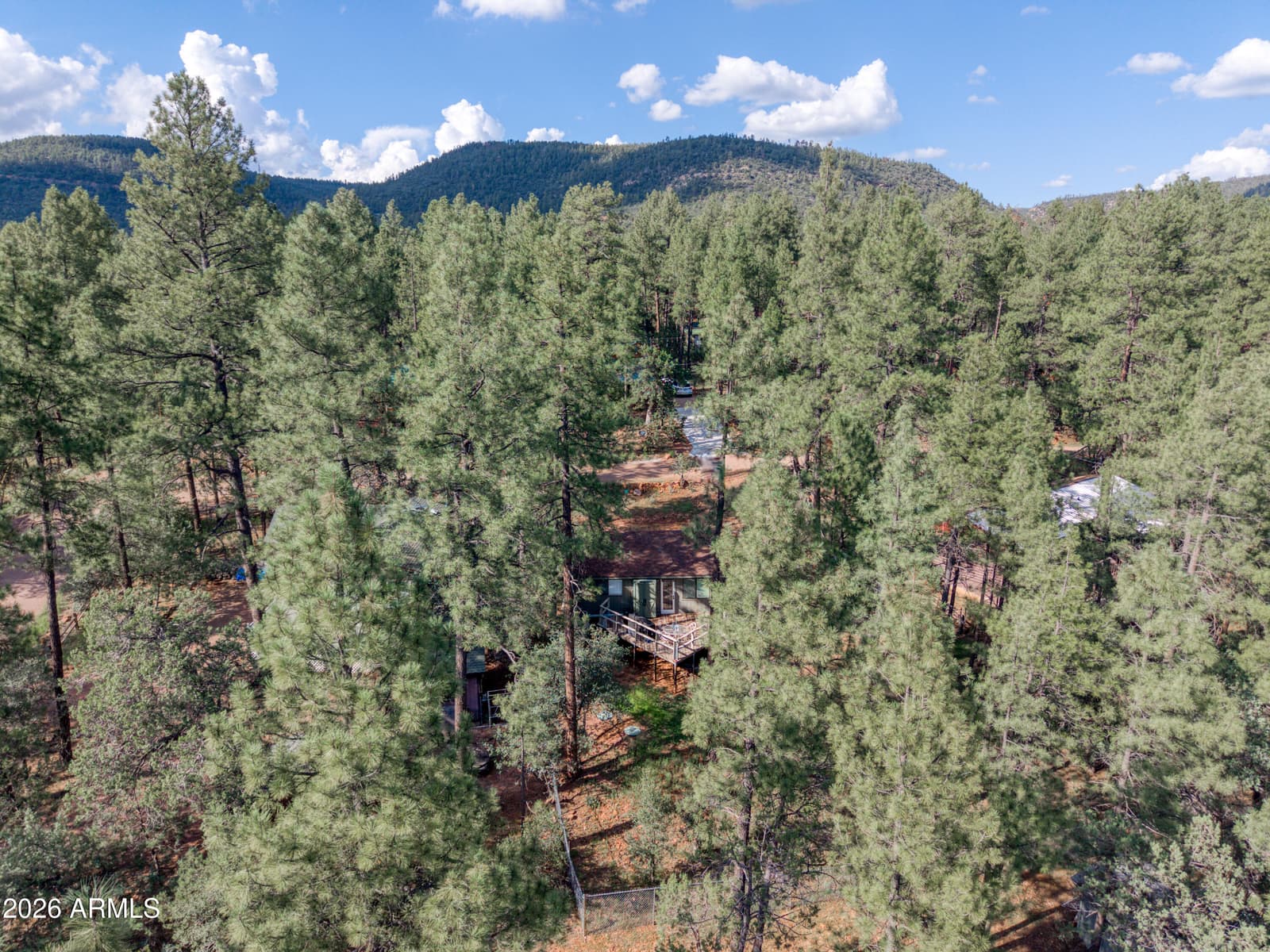 8317 W Eagle Drive, Pine, AZ 85544 — photo 5 of 21