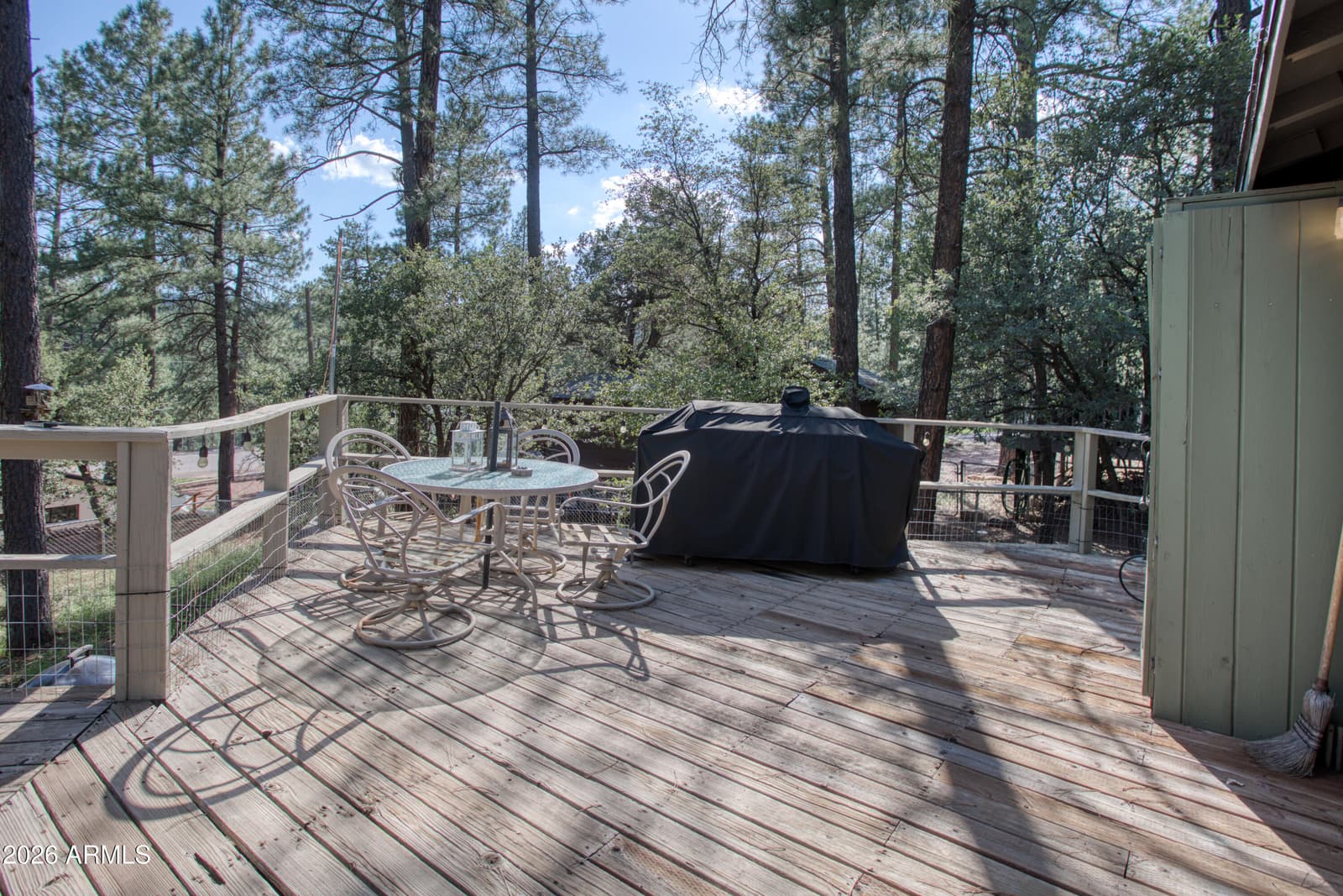 8317 W Eagle Drive, Pine, AZ 85544 — photo 17 of 21