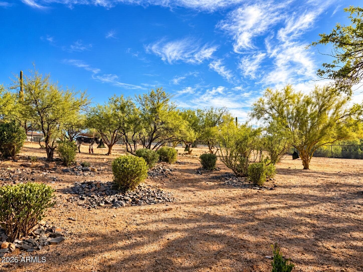 5905 E Cielo Run S, Cave Creek, AZ 85331 — photo 50 of 56