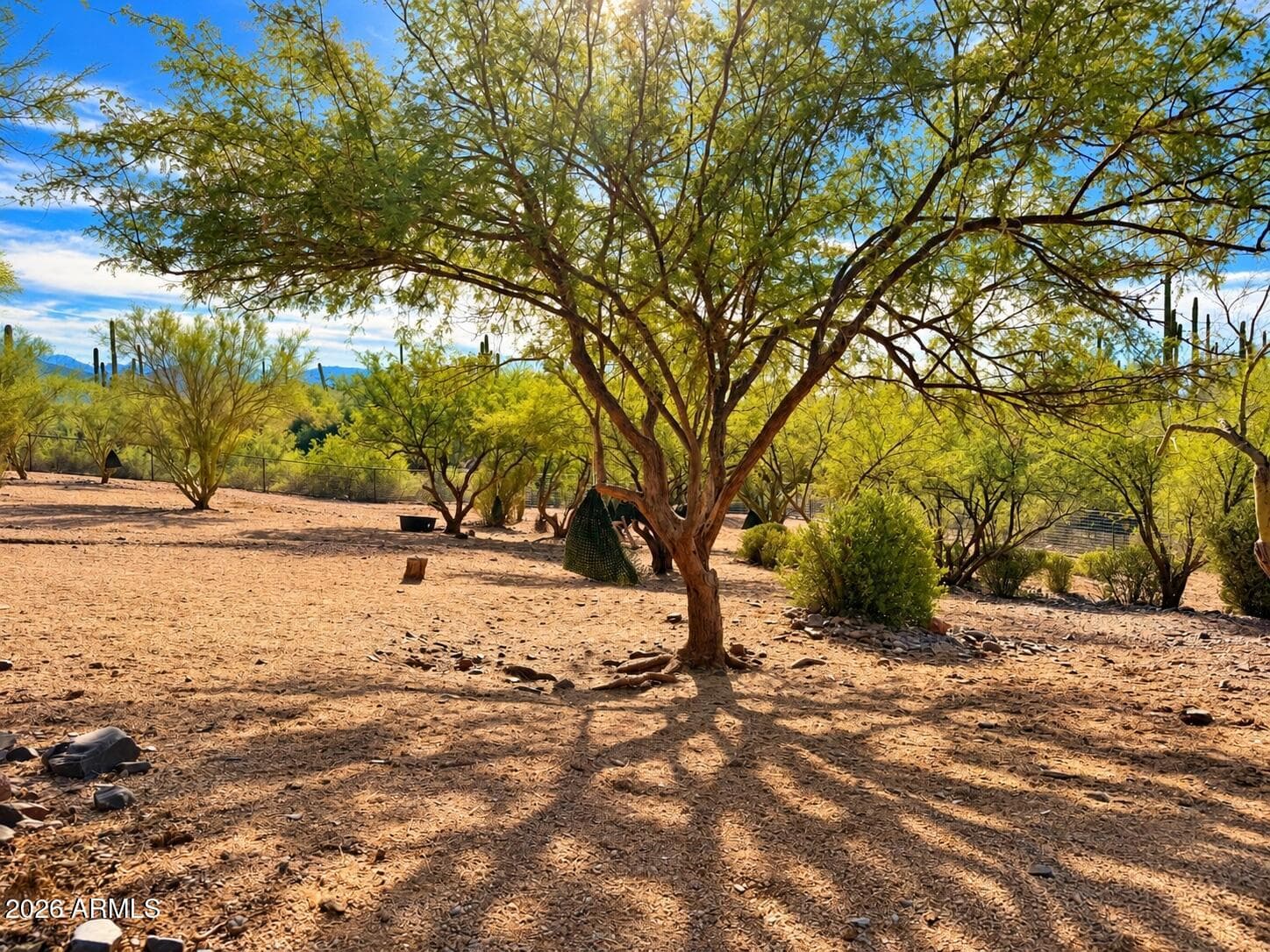 5905 E Cielo Run S, Cave Creek, AZ 85331 — photo 48 of 56