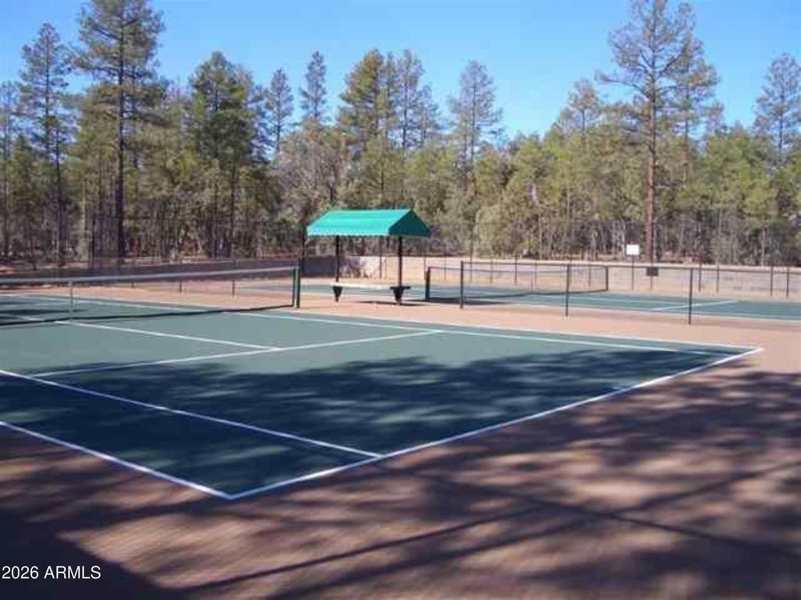 21 S Golden Rod Lane, Show Low, AZ 85901 — photo 59 of 71