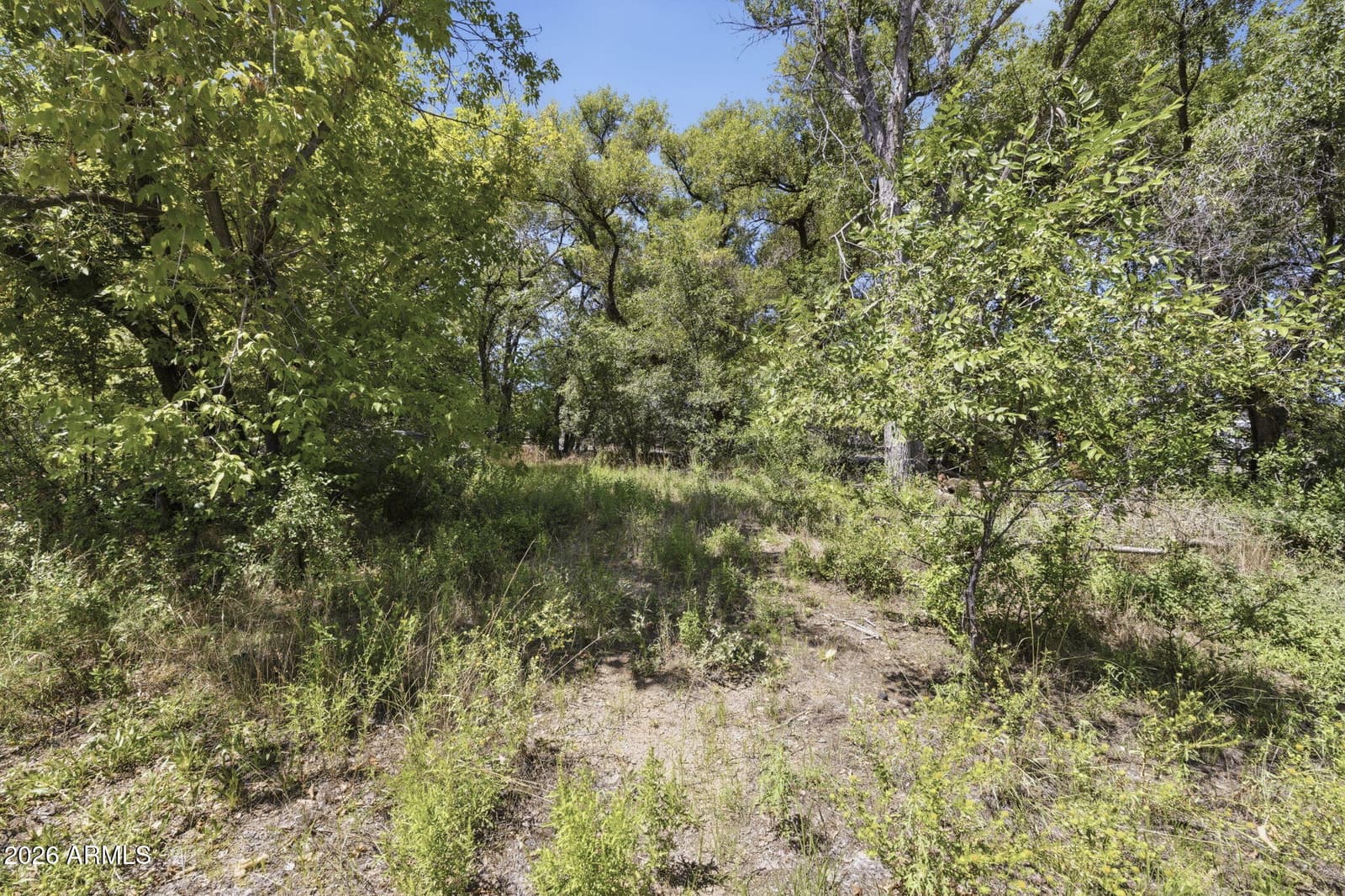 540 N Washington Avenue, Prescott, AZ 86301 — photo 49 of 52