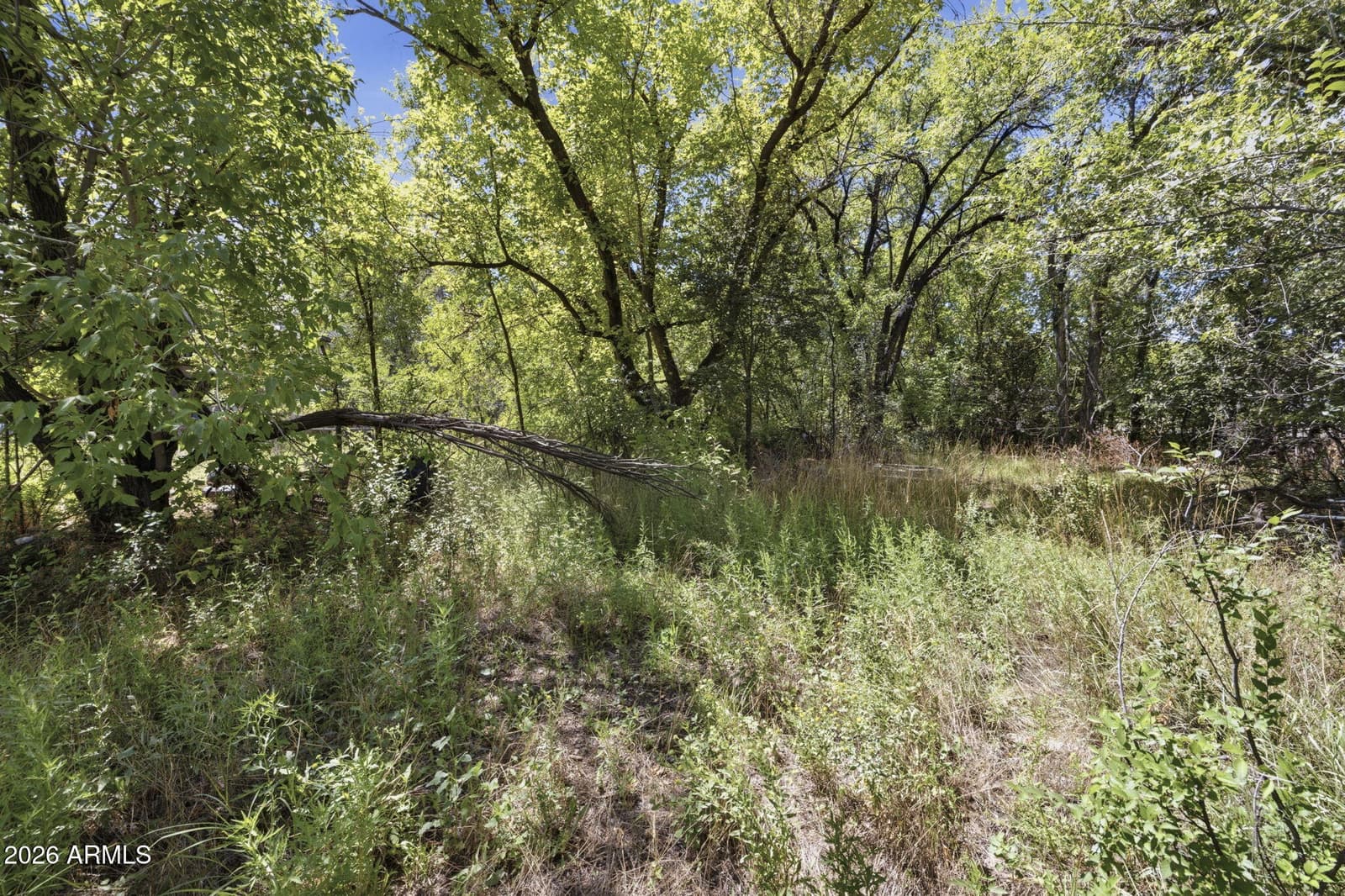 540 N Washington Avenue, Prescott, AZ 86301 — photo 52 of 52