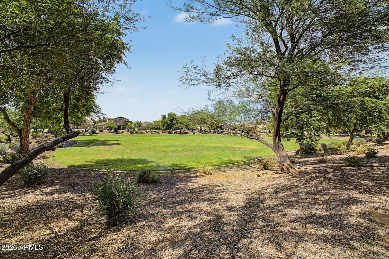 1572 E Luna Blanca Way, San Tan Valley, AZ 85140 — photo 38 of 48