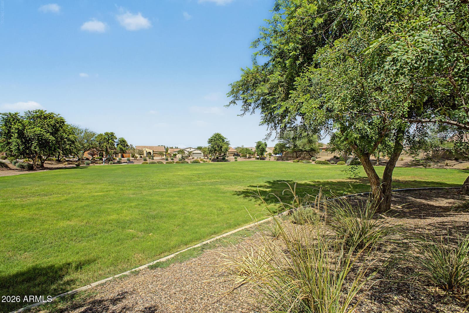 1572 E Luna Blanca Way, San Tan Valley, AZ 85140 — photo 42 of 48
