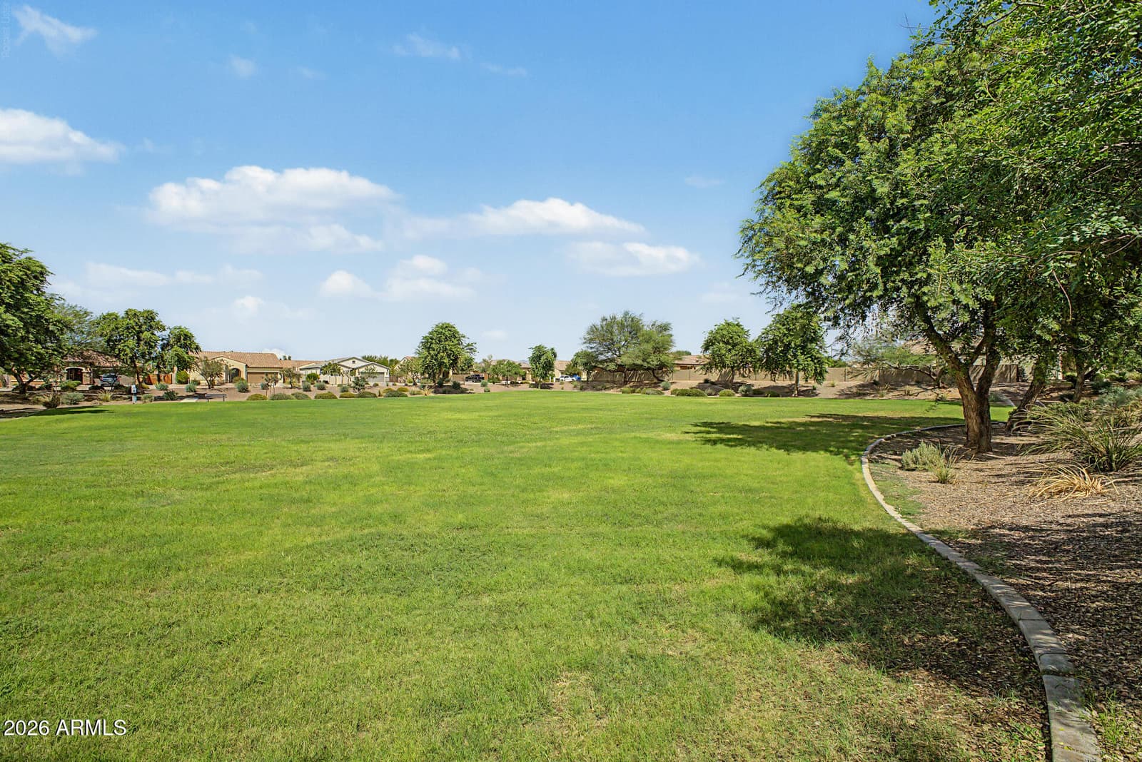 1572 E Luna Blanca Way, San Tan Valley, AZ 85140 — photo 44 of 48