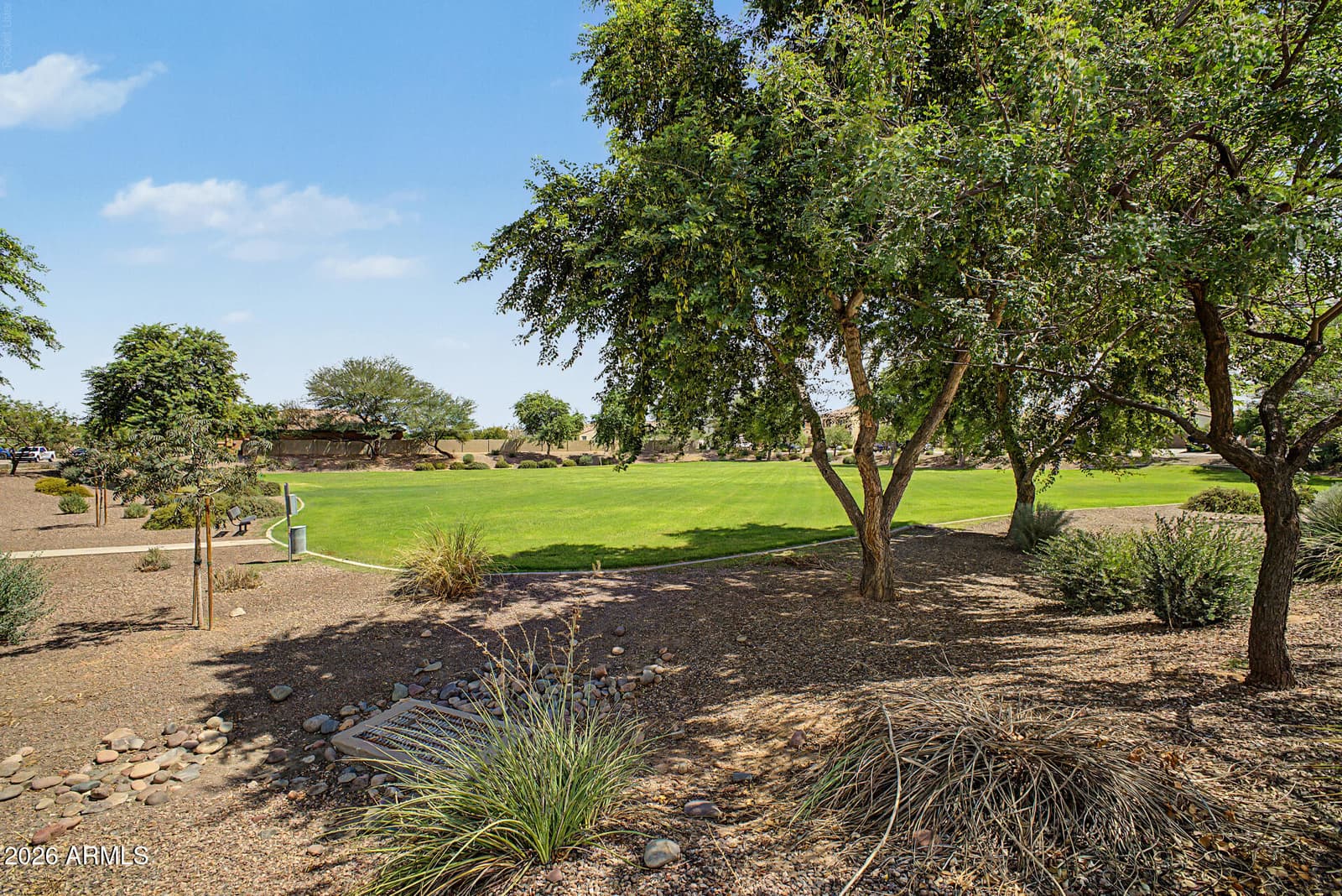 1572 E Luna Blanca Way, San Tan Valley, AZ 85140 — photo 45 of 48