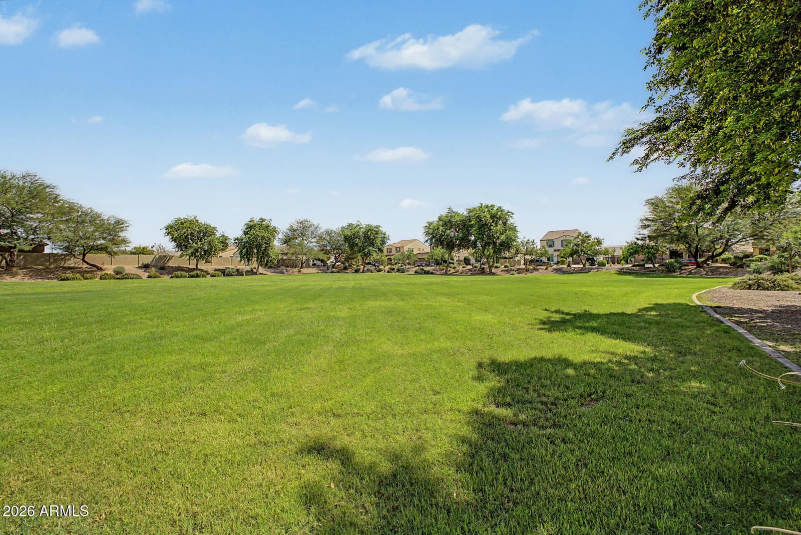 1572 E Luna Blanca Way, San Tan Valley, AZ 85140 — photo 46 of 48
