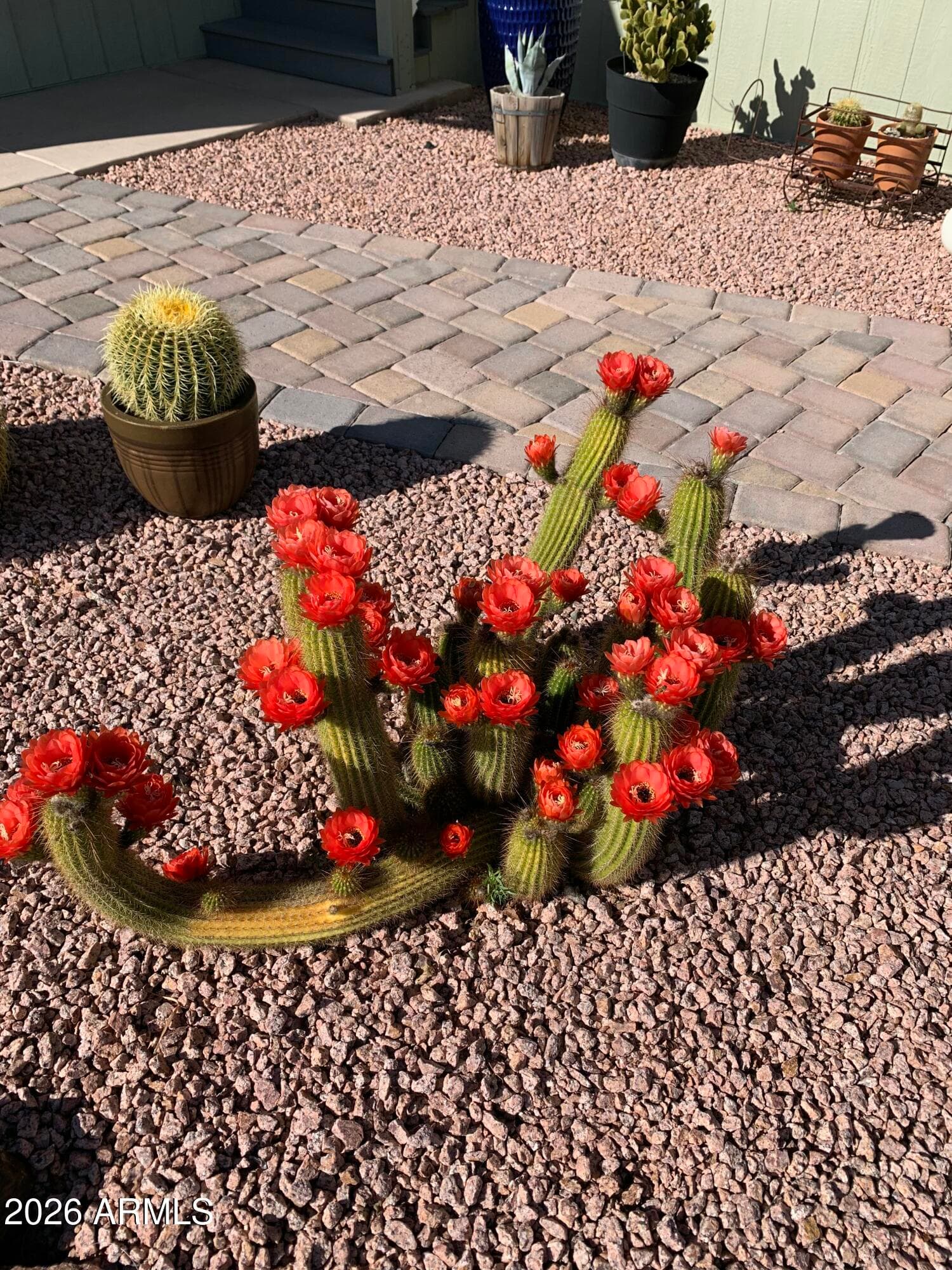 1051 Nicklaus Drive, Cottonwood, AZ 86326 — photo 26 of 47