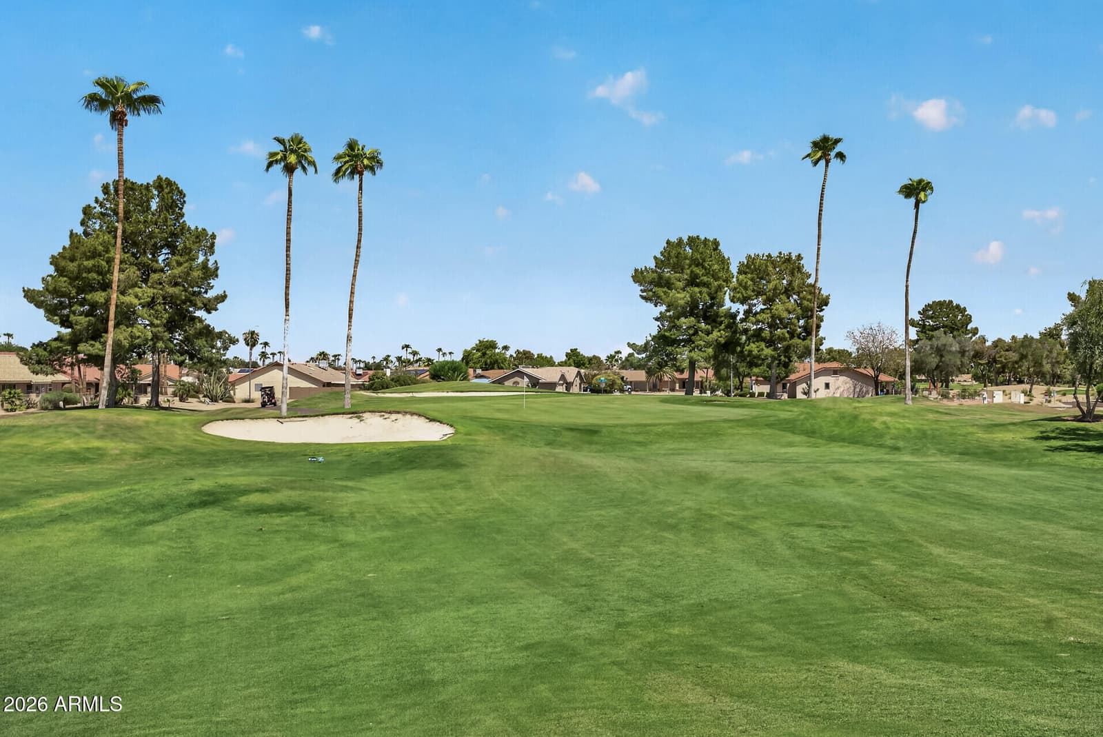 13923 W Jaguar Drive, Sun City West, AZ 85375 — photo 78 of 78