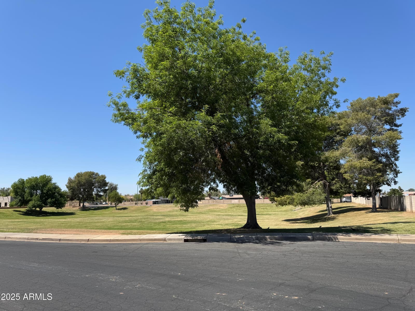 2834 E Juanita Avenue, Mesa, AZ 85204 — photo 49 of 52