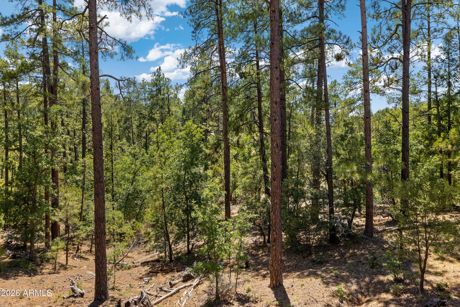 2800 E Yegan Drive, Prescott, AZ 86303 — photo 8 of 40