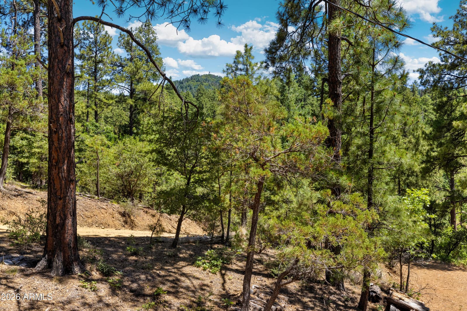 2800 E Yegan Drive, Prescott, AZ 86303 — photo 9 of 40