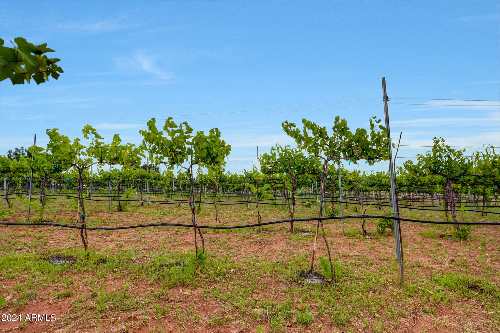 14 Cr 5309, Concho, AZ 85924 — photo 45 of 55