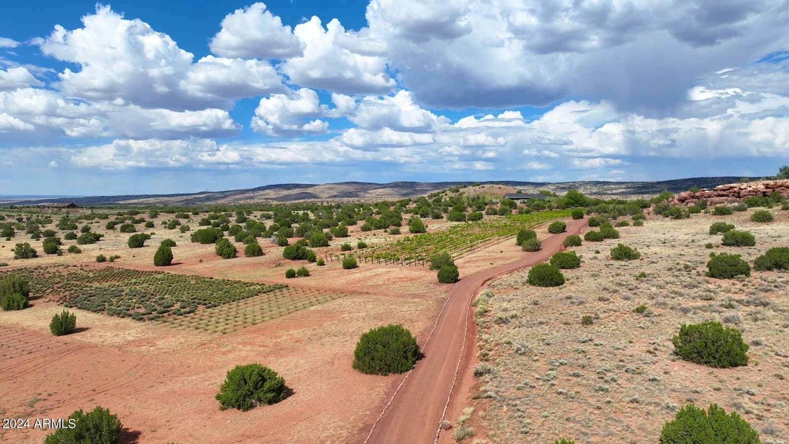14 Cr 5309, Concho, AZ 85924 — photo 49 of 55
