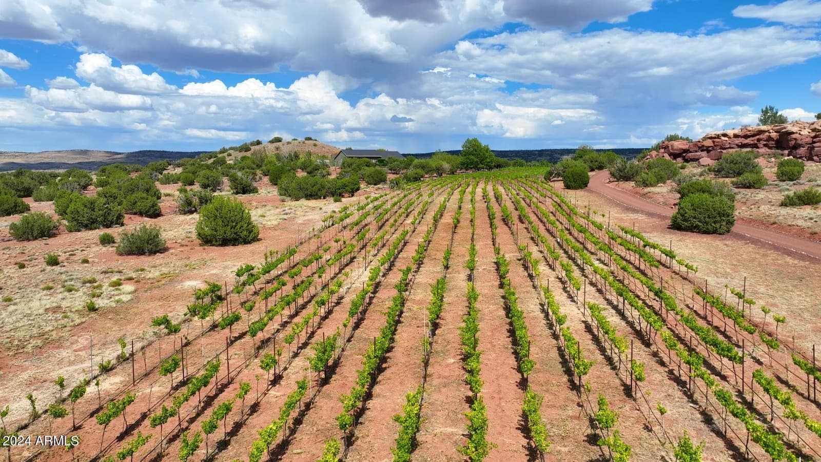14 Cr 5309, Concho, AZ 85924 — photo 52 of 55