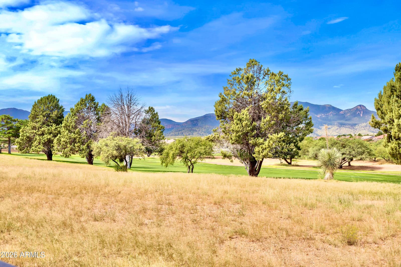 2564 Cherry Hills Drive, Sierra Vista, AZ 85650 — photo 38 of 43
