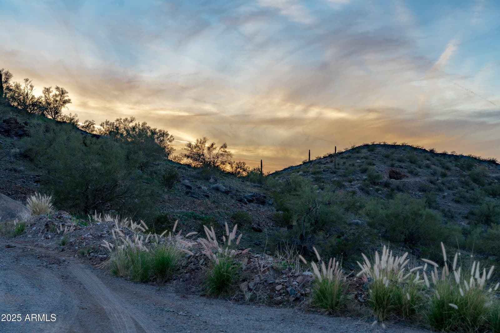 69182 N Centennial Park Road, Salome, AZ 85348 — photo 78 of 91