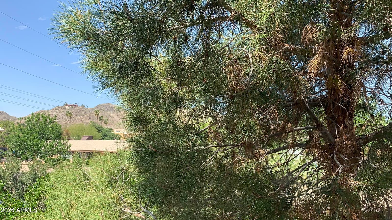 10410 N Cave Creek Road 2100, Phoenix, AZ 85020 — photo 1 of 41