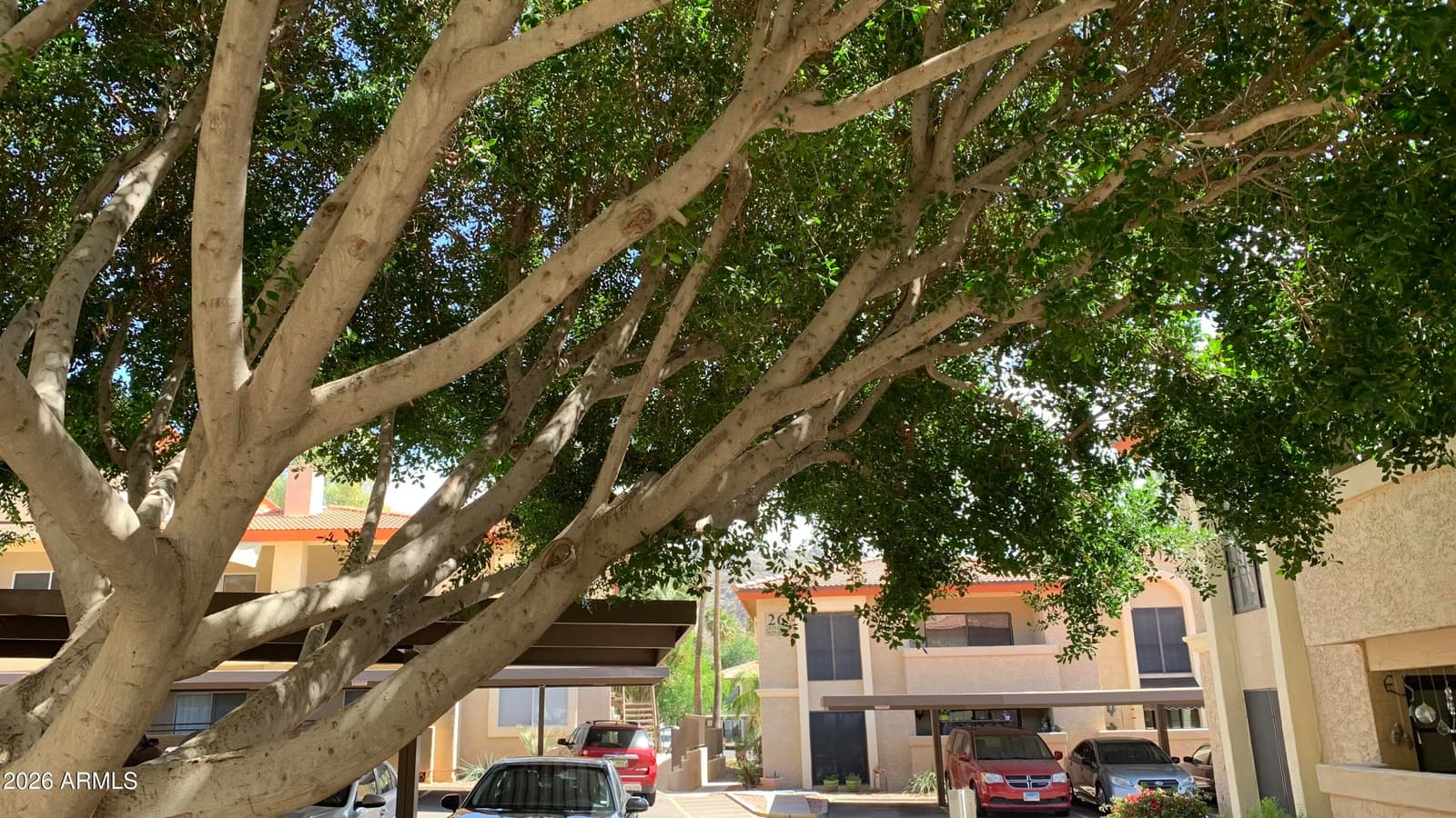 10410 N Cave Creek Road 2100, Phoenix, AZ 85020 — photo 17 of 41