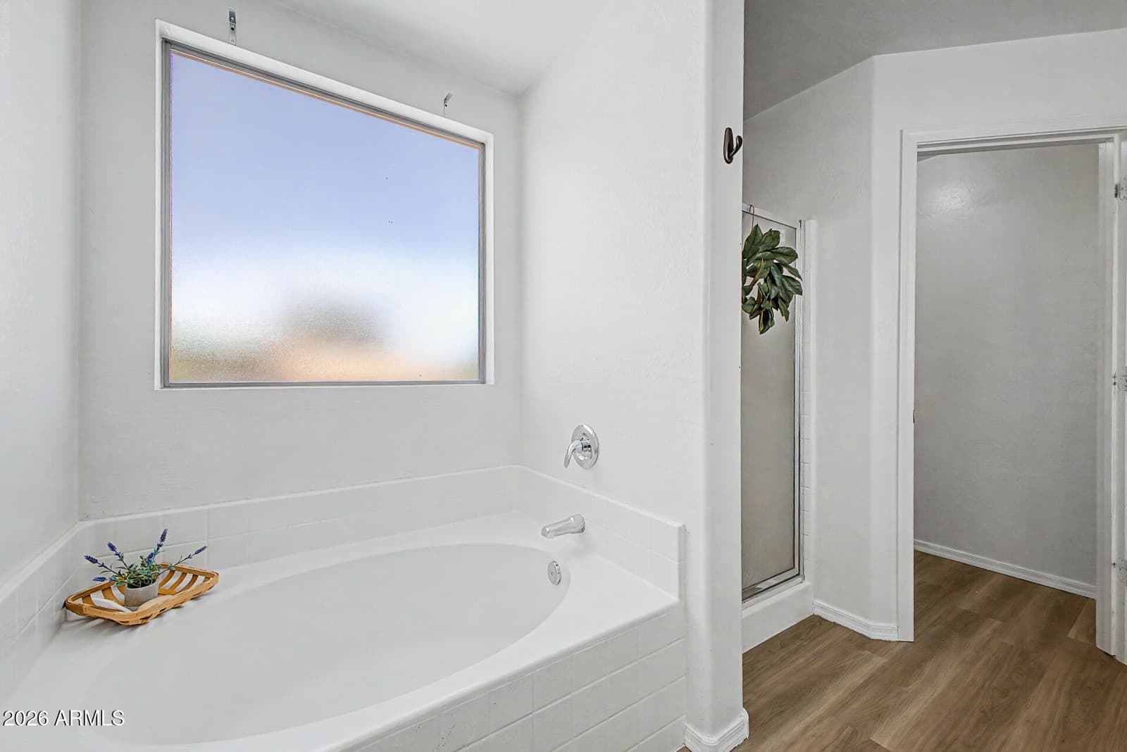 10536 W Magnolia Street, Tolleson, AZ 85353 — photo 24 of 63