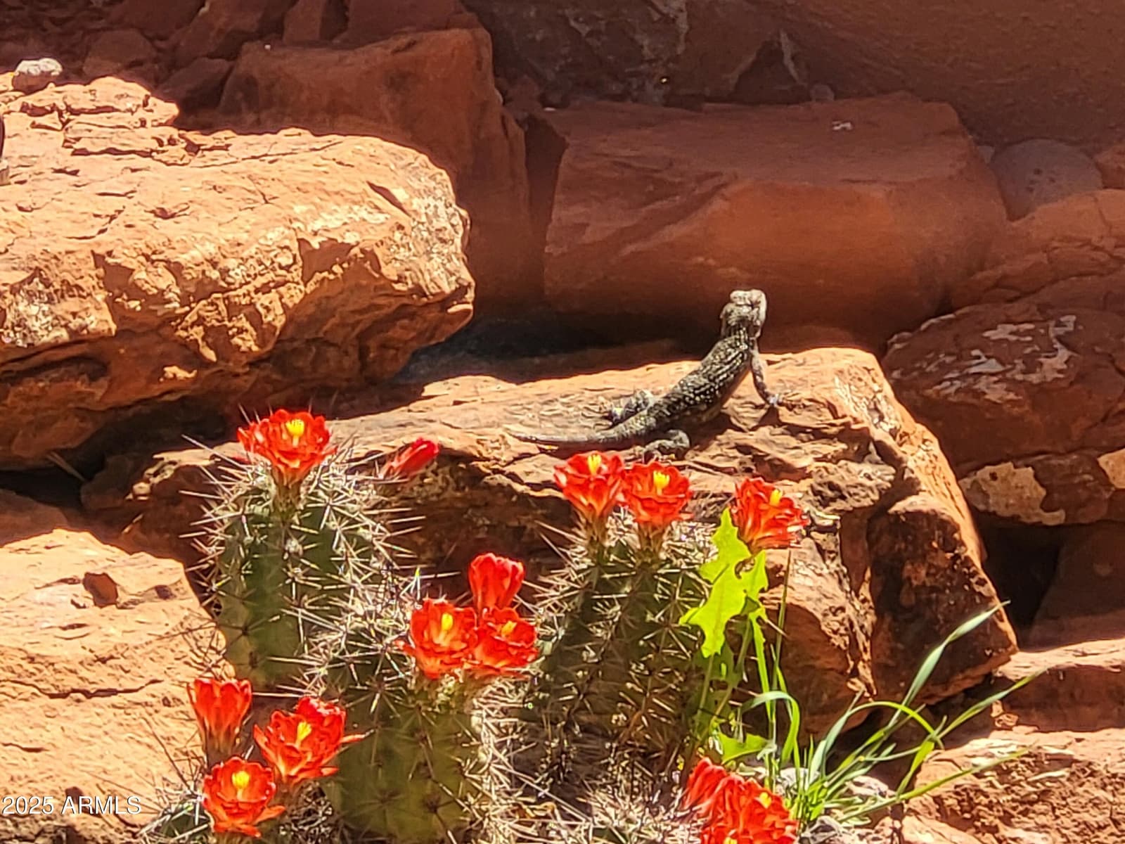 55 Corte Banca, Sedona, AZ 86351 — photo 48 of 54