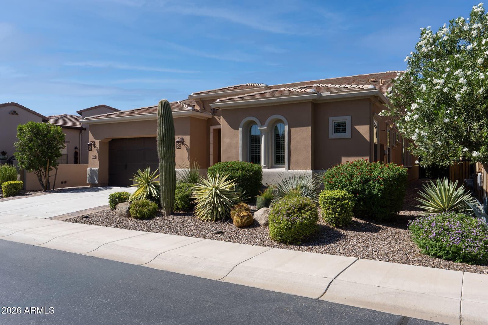 234 E Lemon Lane, Queen Creek, AZ 85140 — photo 4 of 44