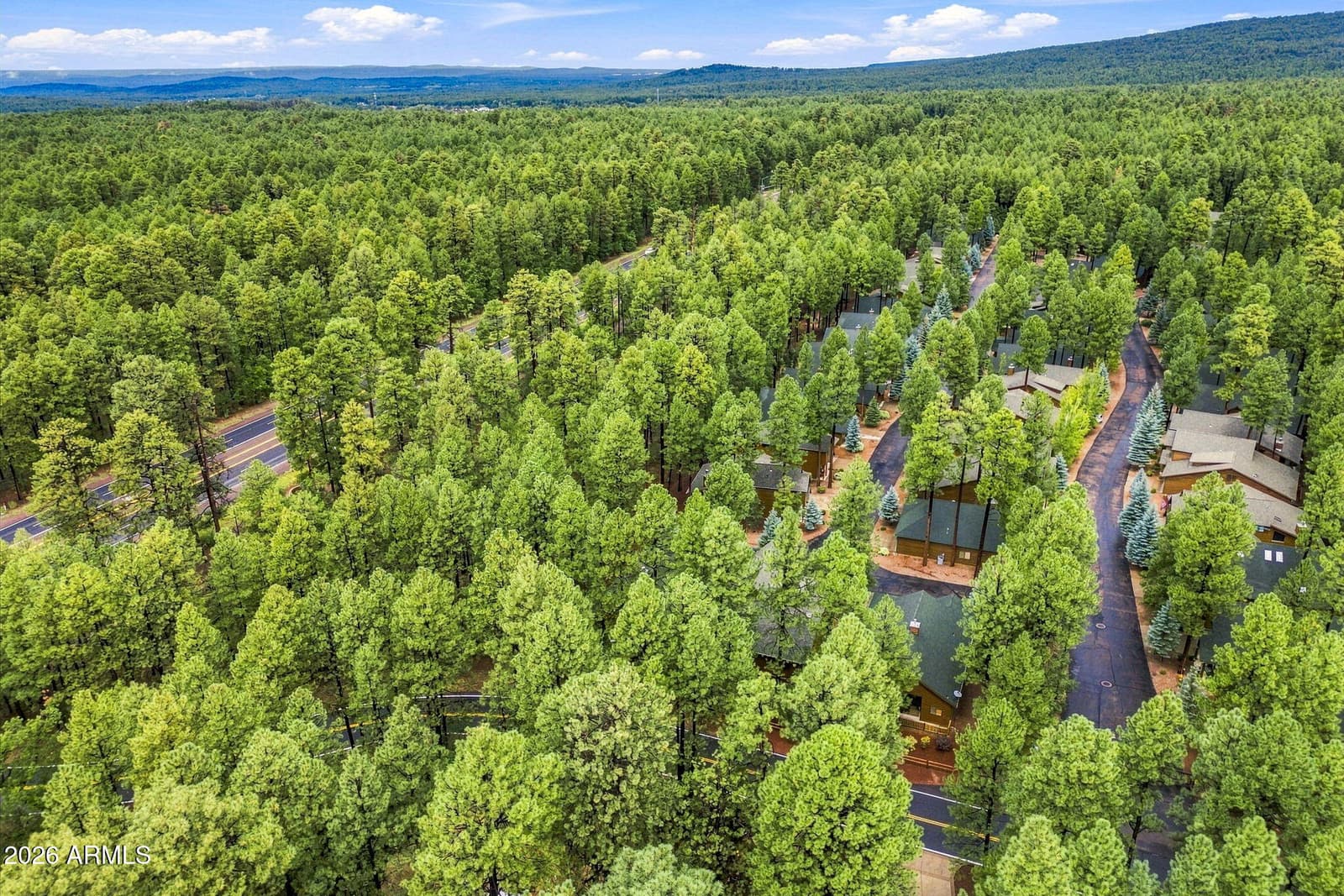 3915 Elk Hollow Drive, Pinetop, AZ 85935 — photo 43 of 57