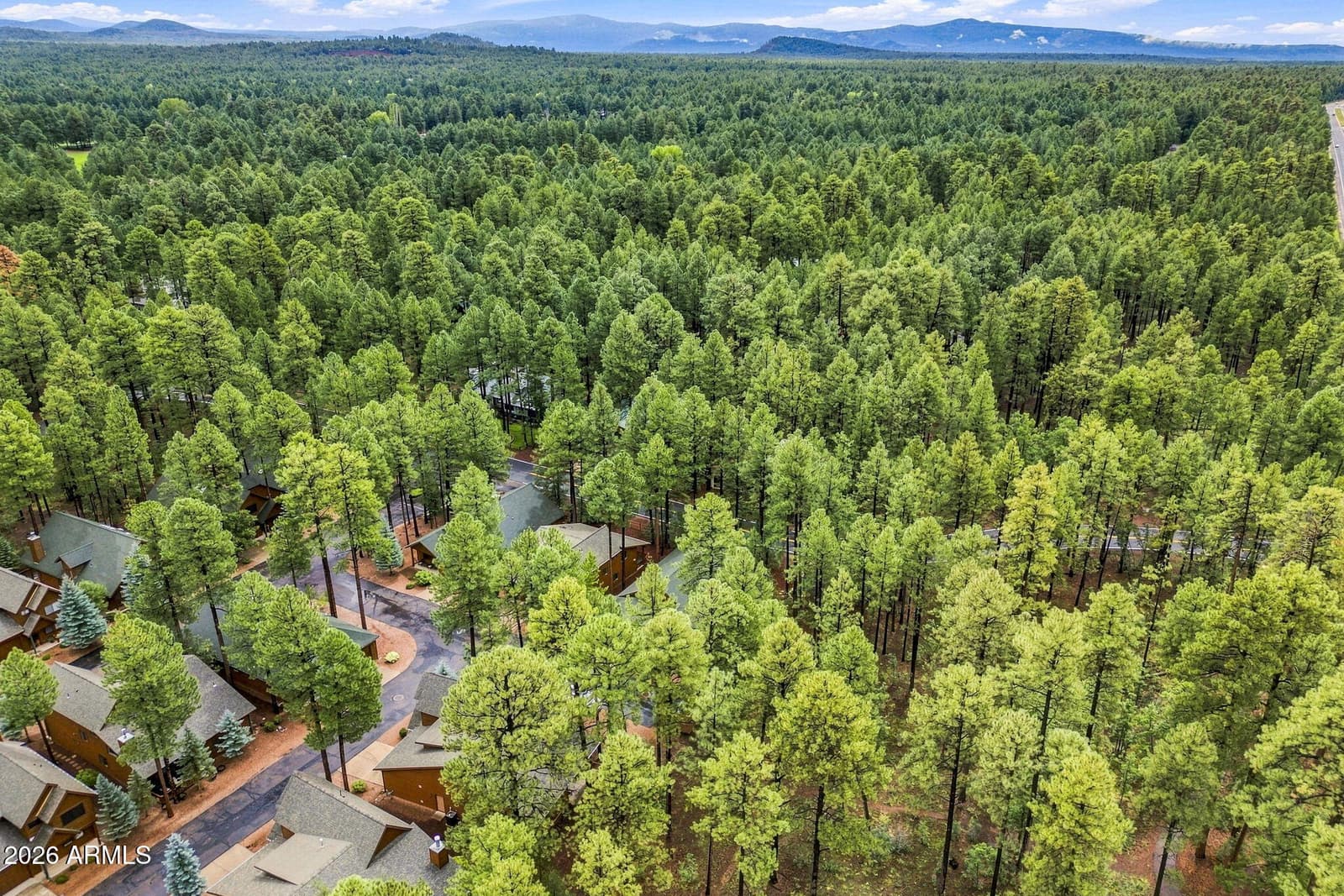 3915 Elk Hollow Drive, Pinetop, AZ 85935 — photo 44 of 57