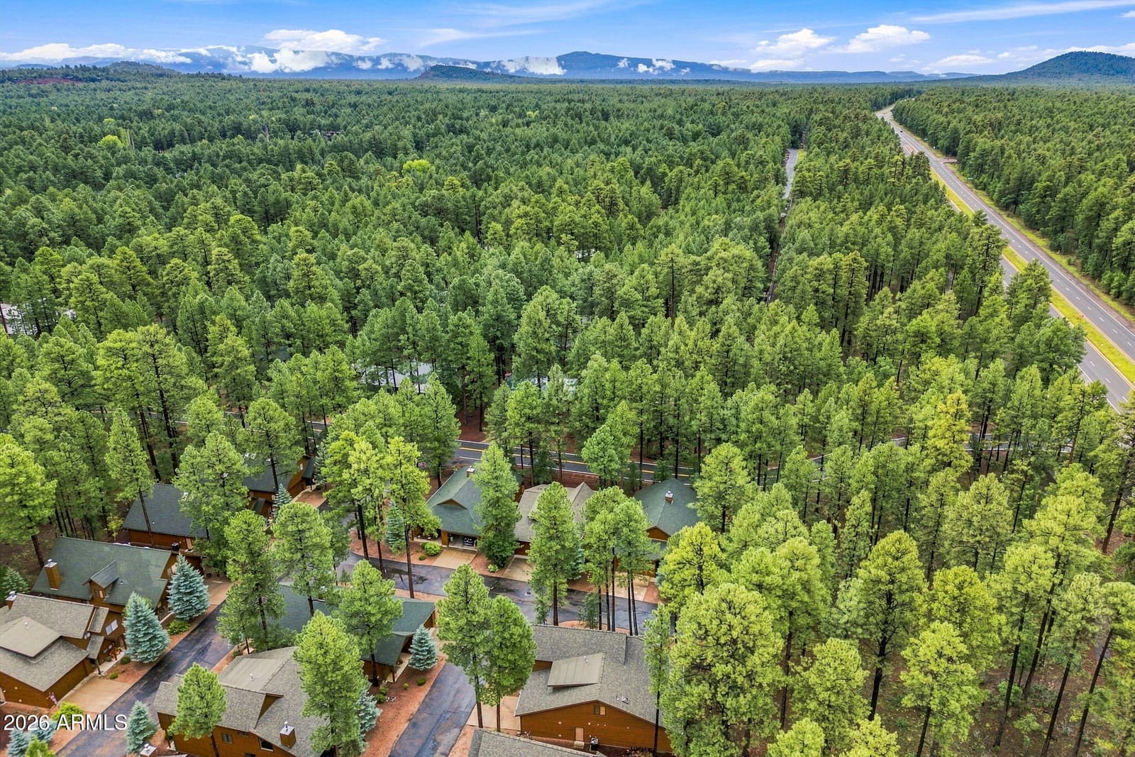 3915 Elk Hollow Drive, Pinetop, AZ 85935 — photo 45 of 57