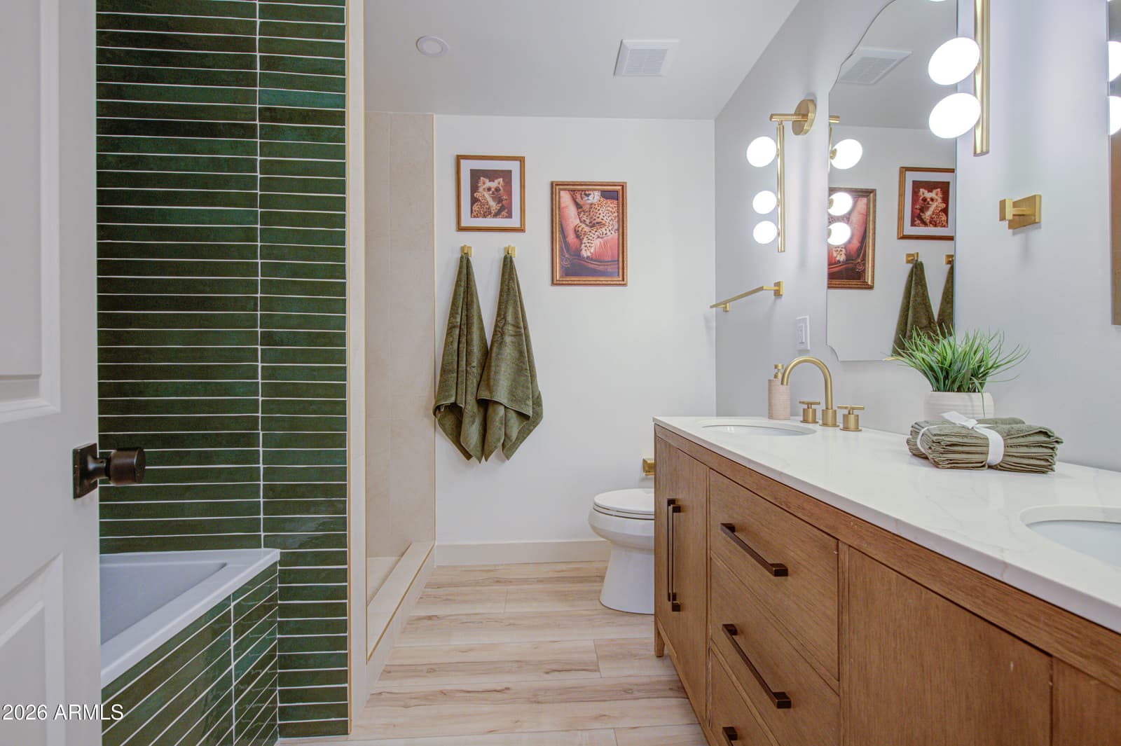 218 E Cairo Drive, Tempe, AZ 85282 — photo 32 of 46