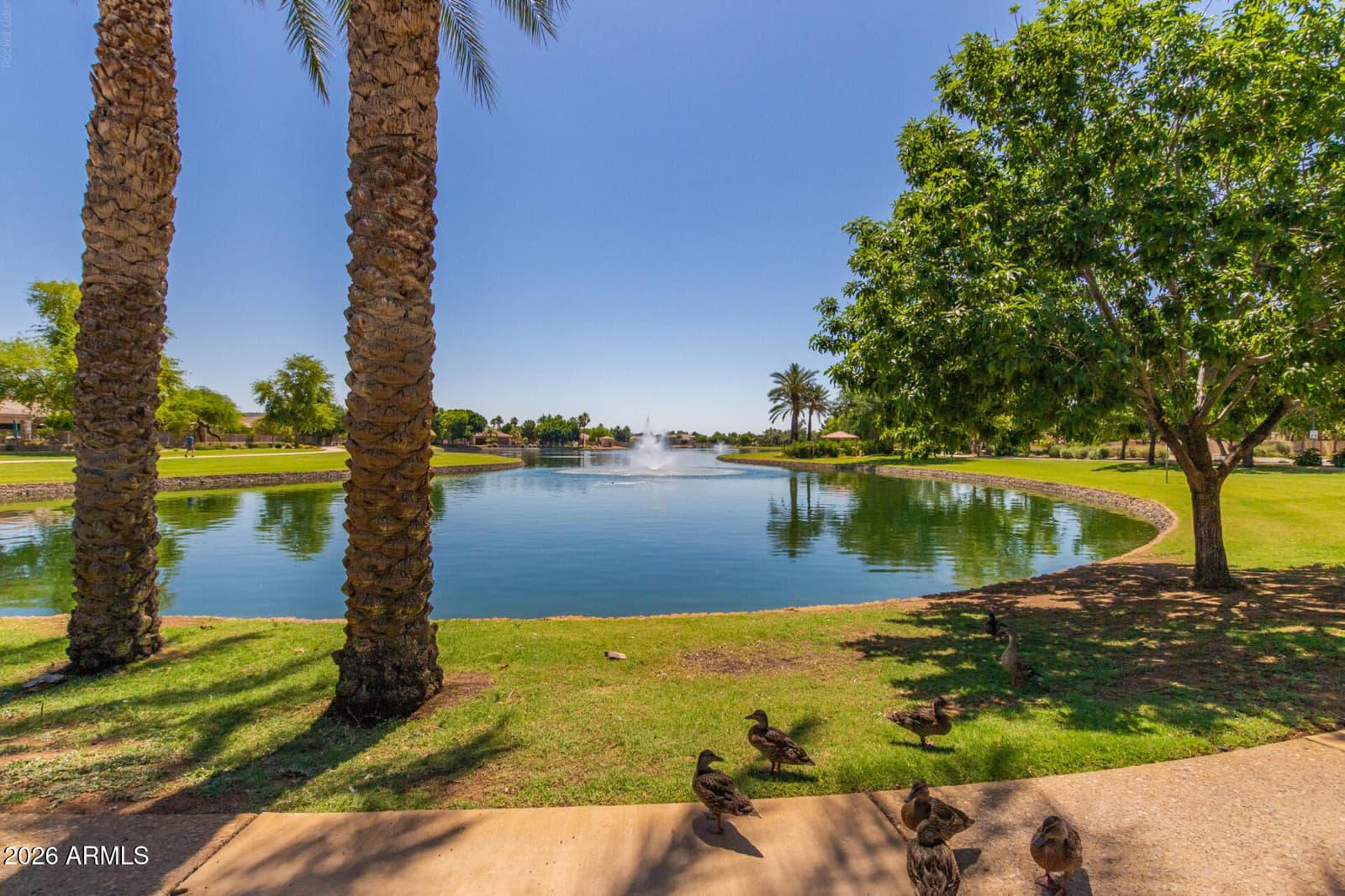 6982 W Irma Lane, Glendale, AZ 85308 — photo 29 of 47